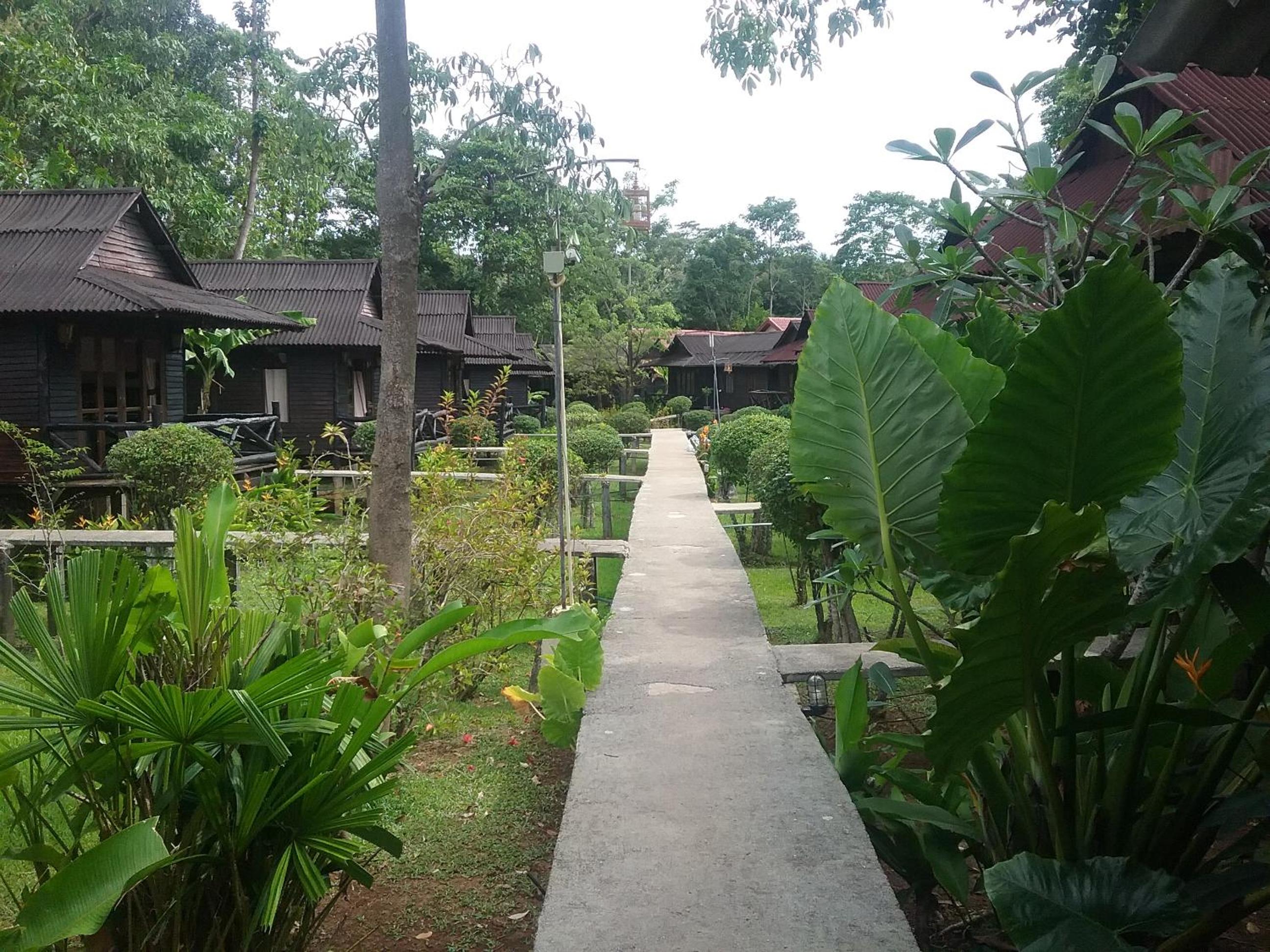 Hotel Mook Lanta Eco Resort - Image 1