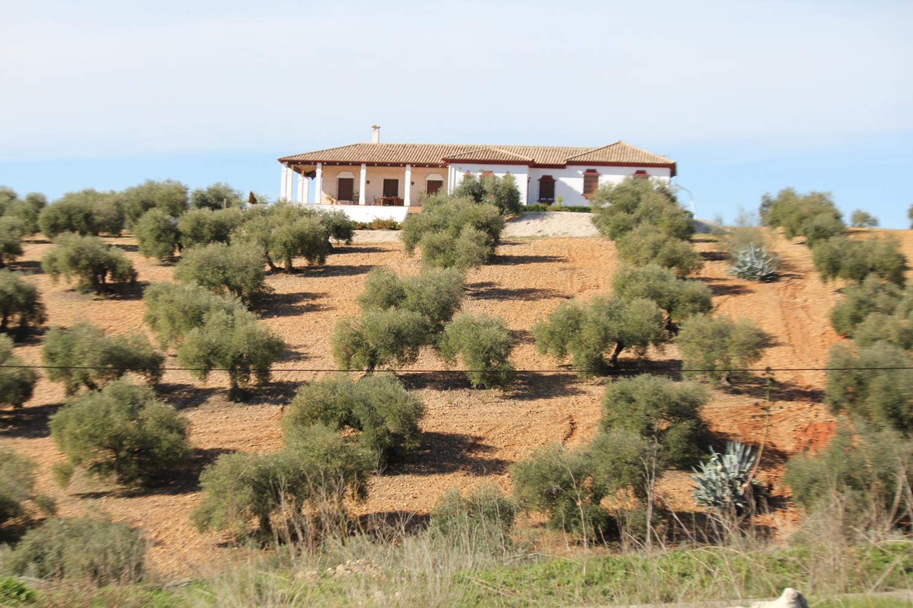 Casa Rural la Serrana