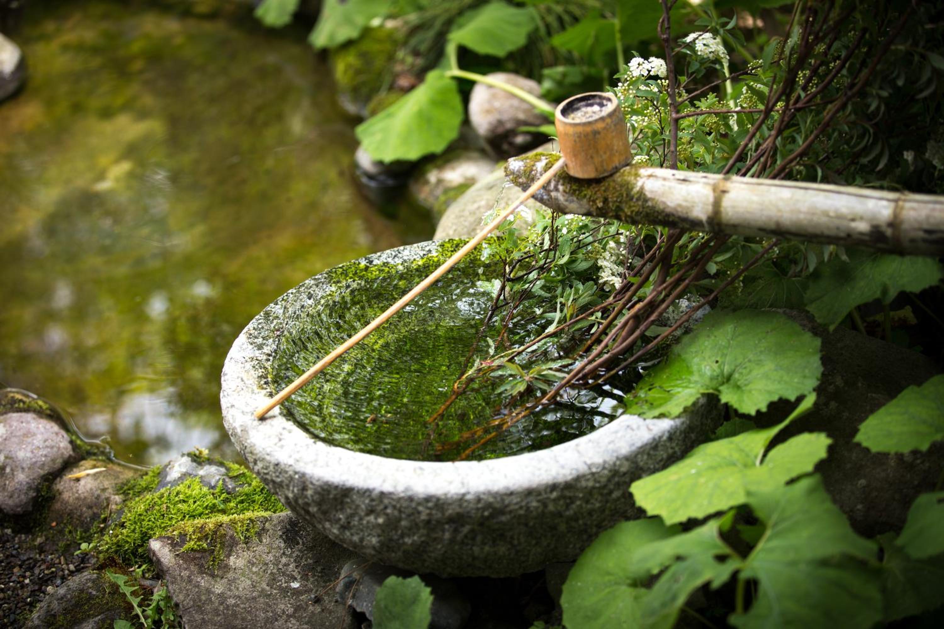 Yufuin Onsen Tsukanoma
