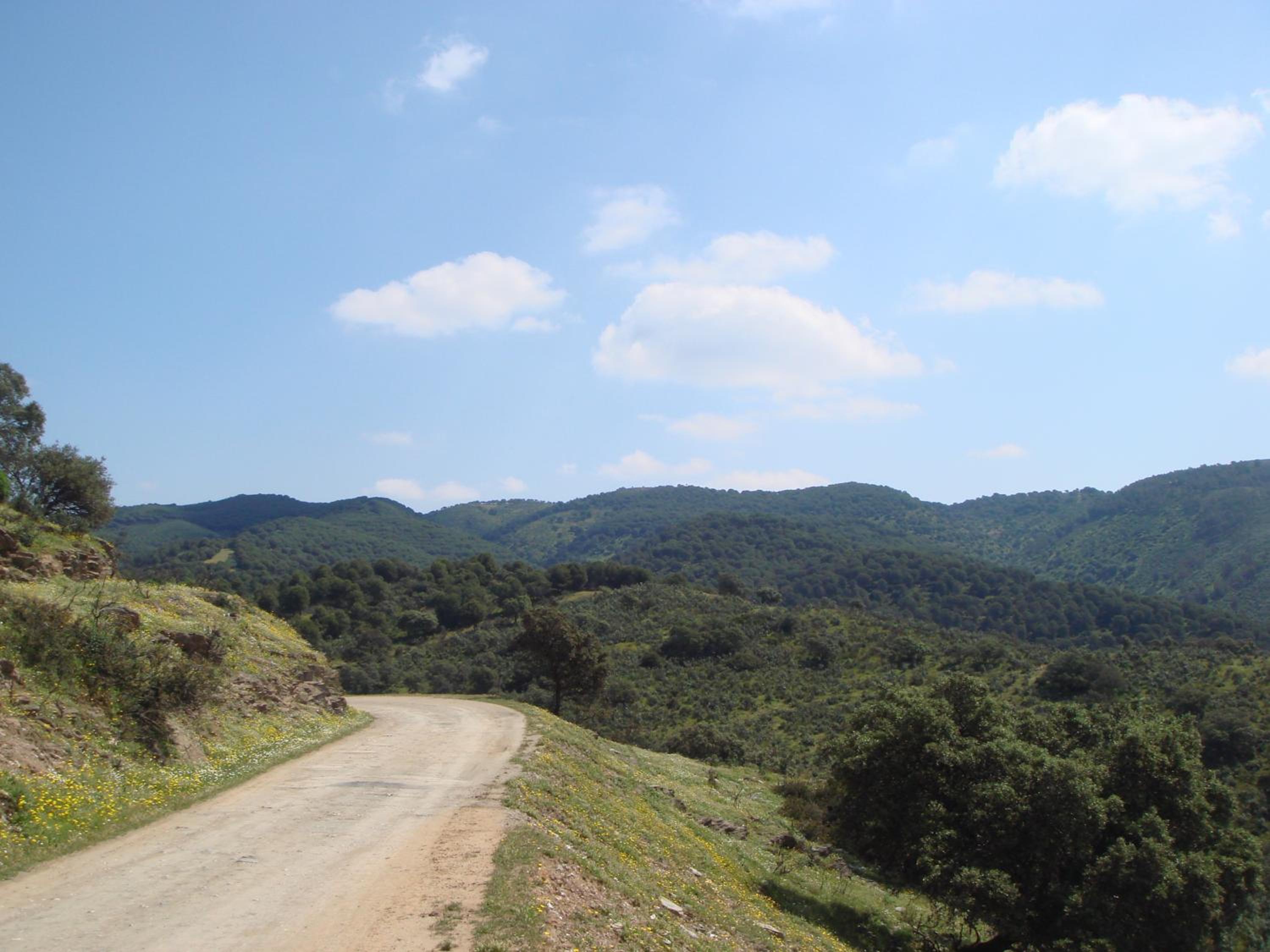 San José