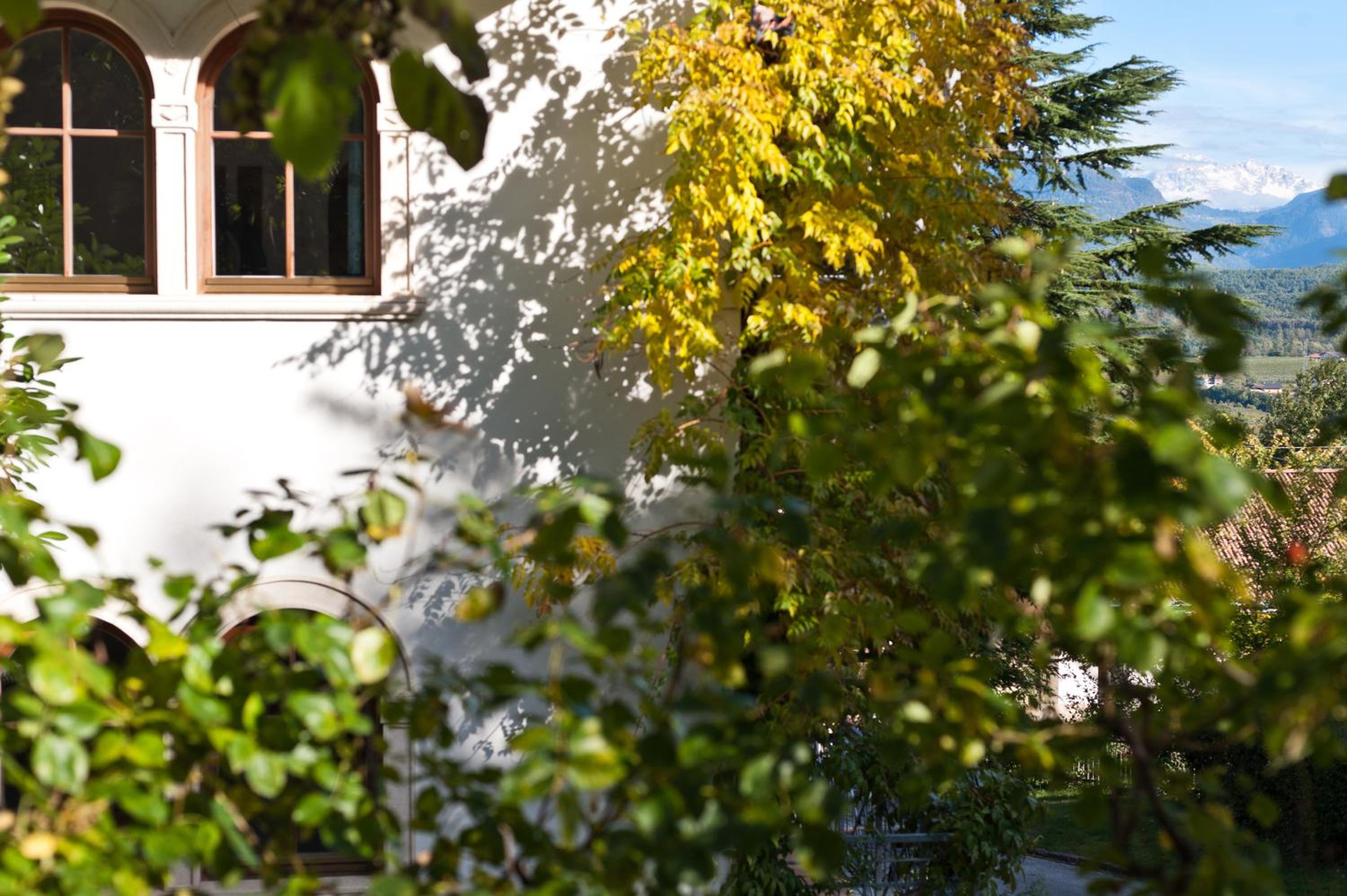 Photo 46