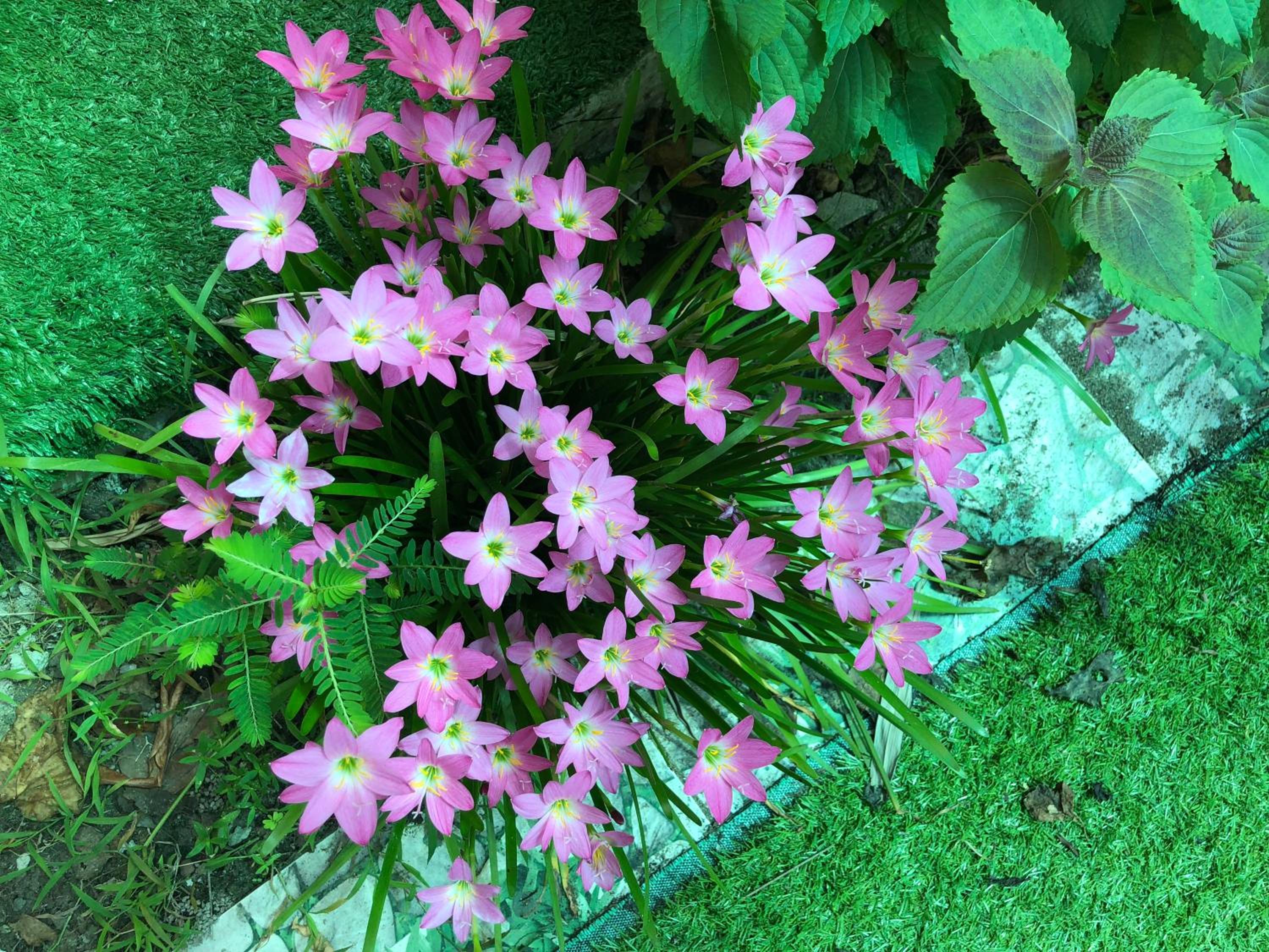 Photo 46