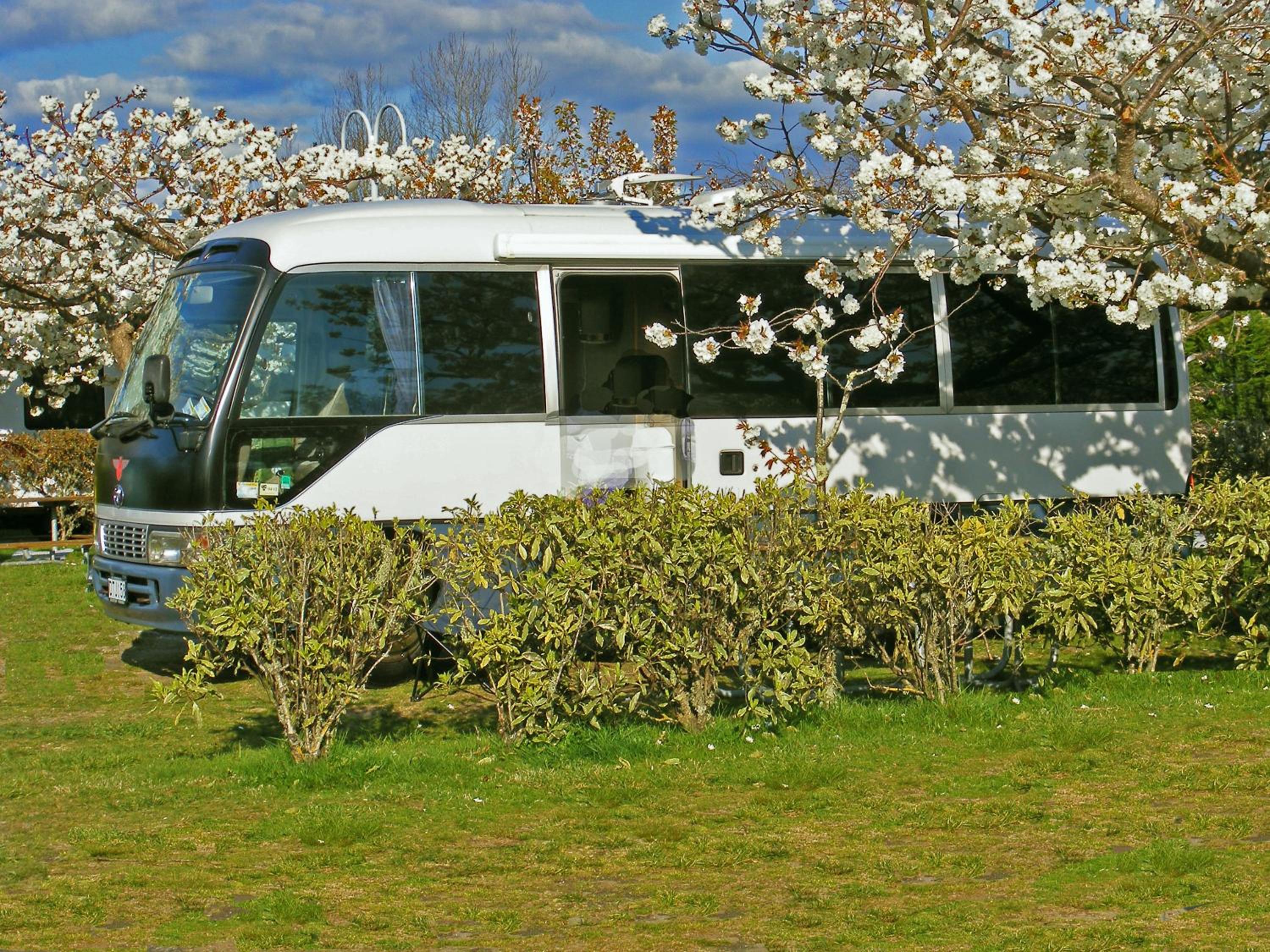 Photo 16