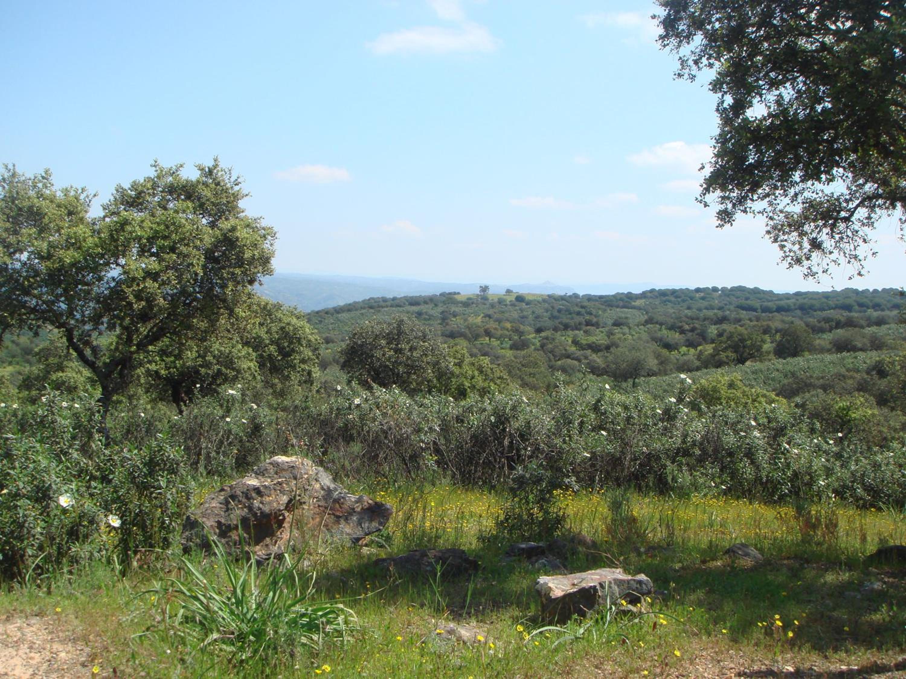 San José