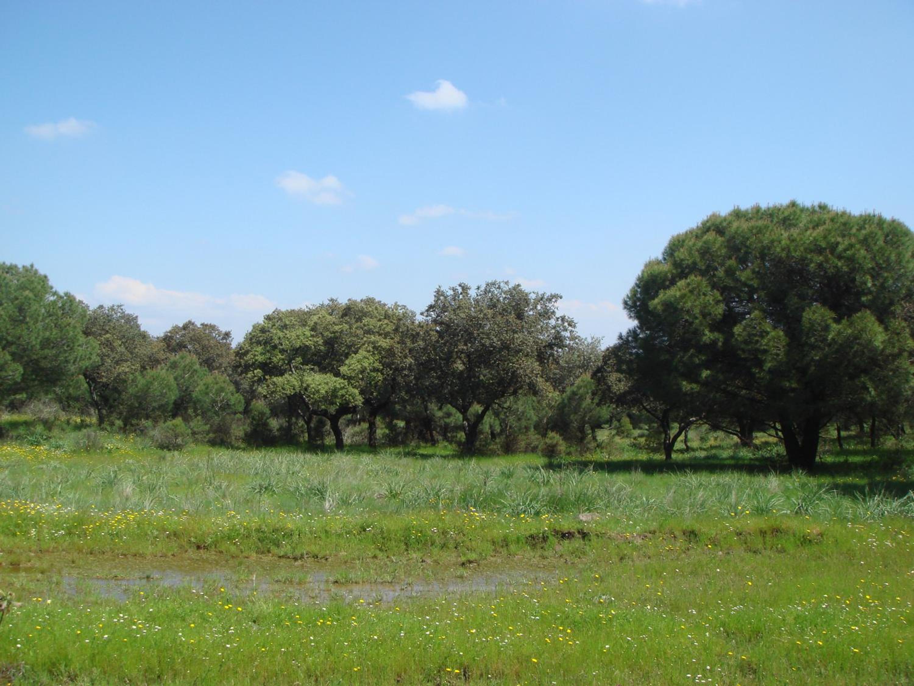 San José