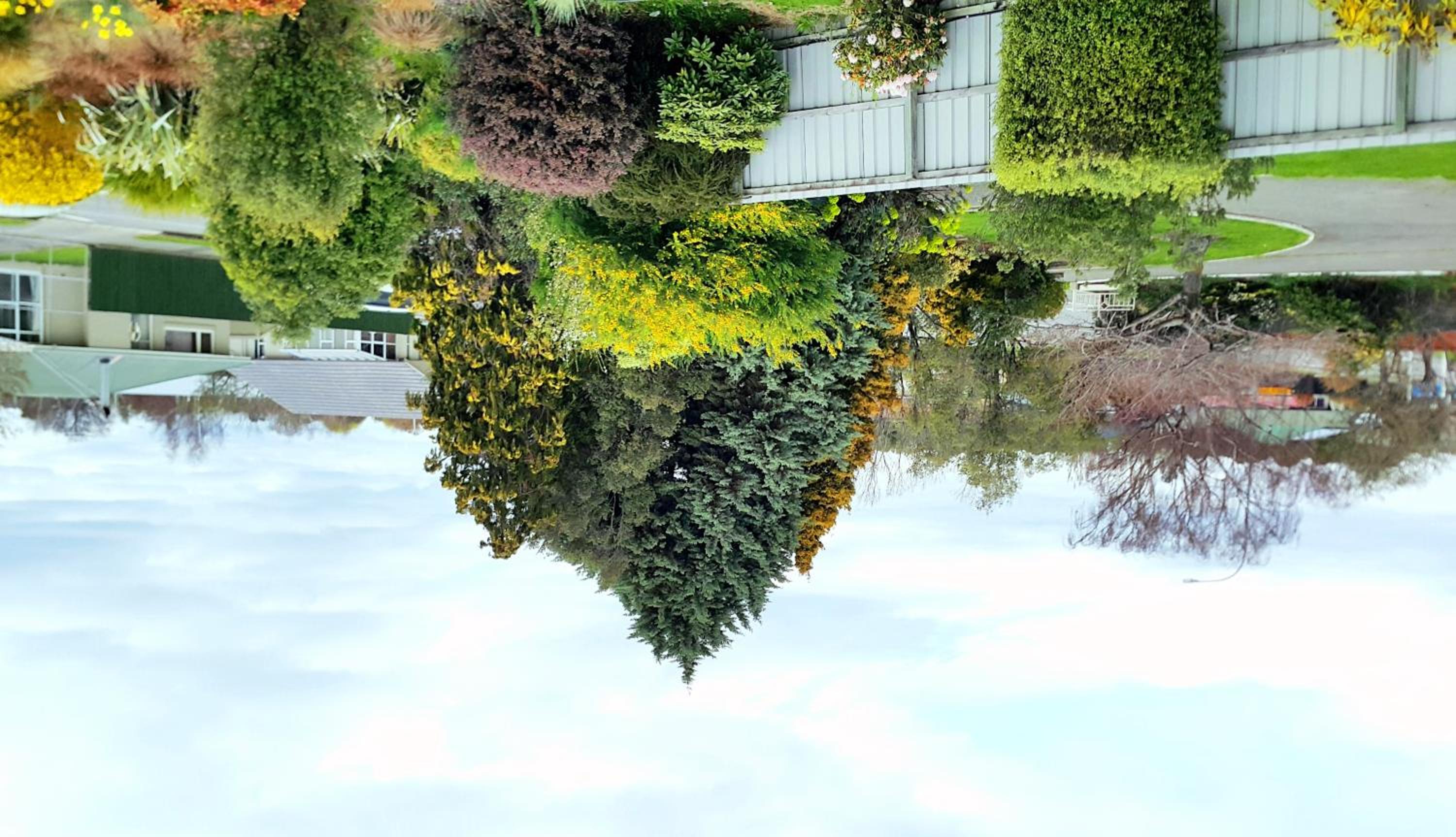 Lilybrook Motel