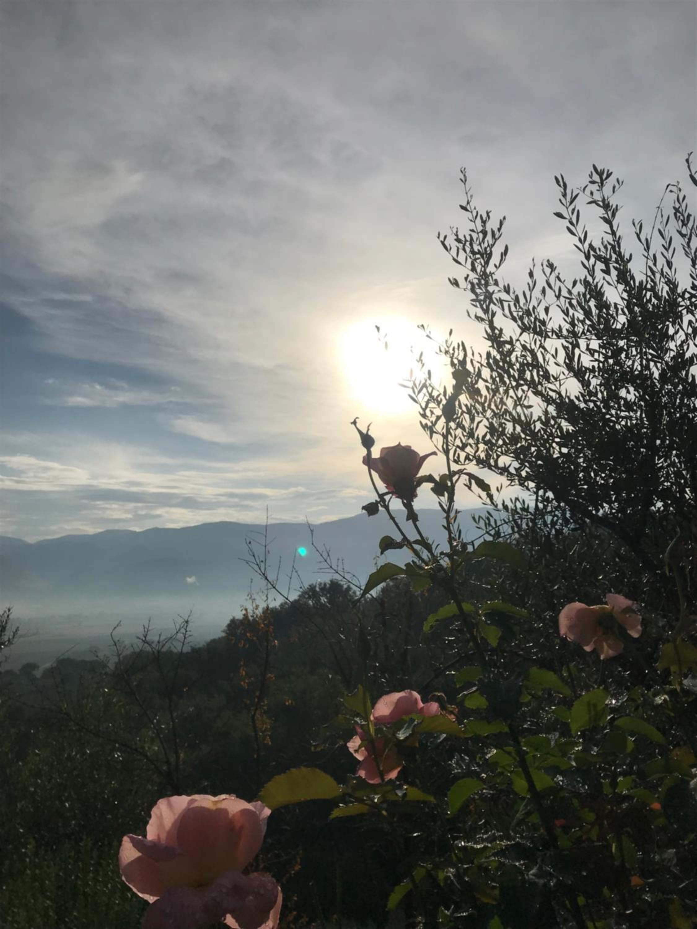 Casa Vacanze Vecciano view 3