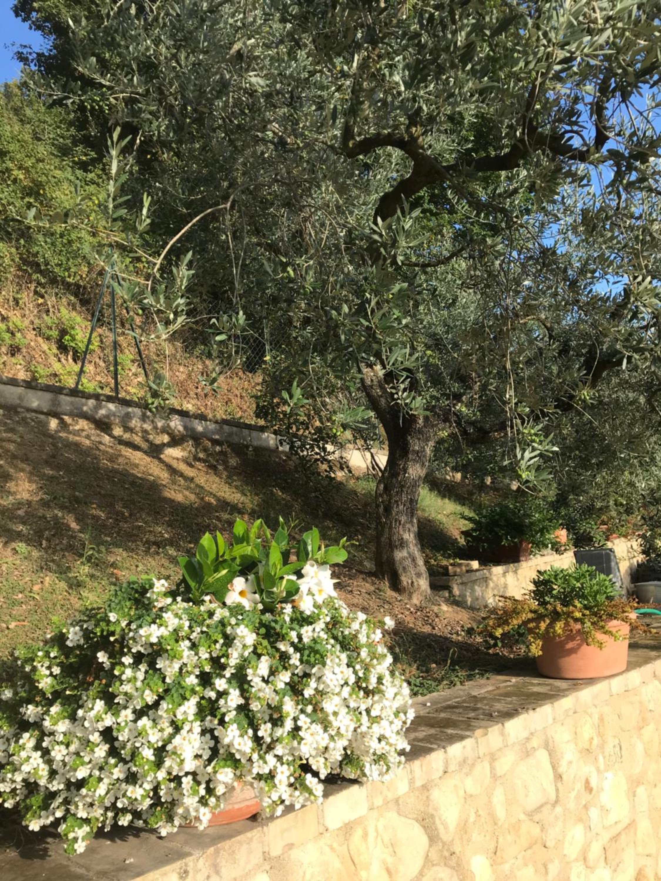 Casa Vacanze Vecciano view 2