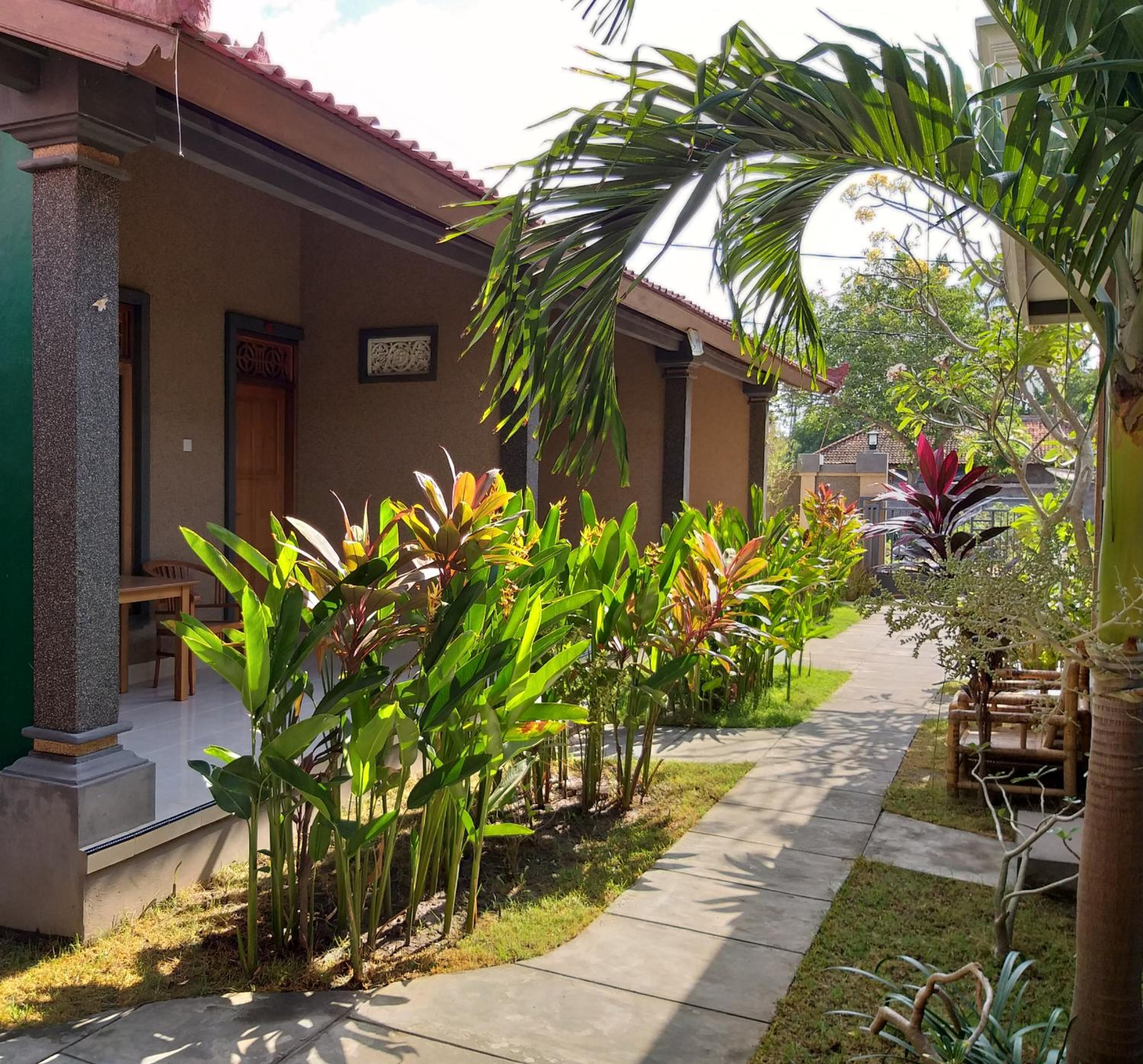 Griya Ayu Homestay Pemuteran view 2
