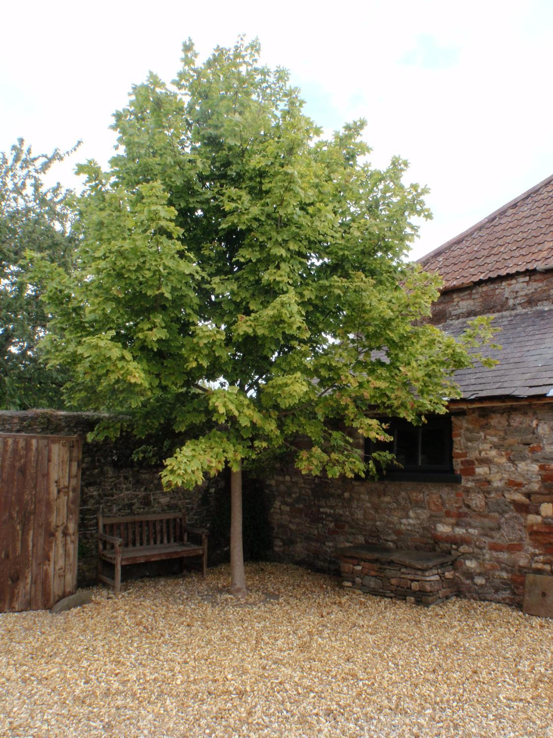 The Old Parsonage