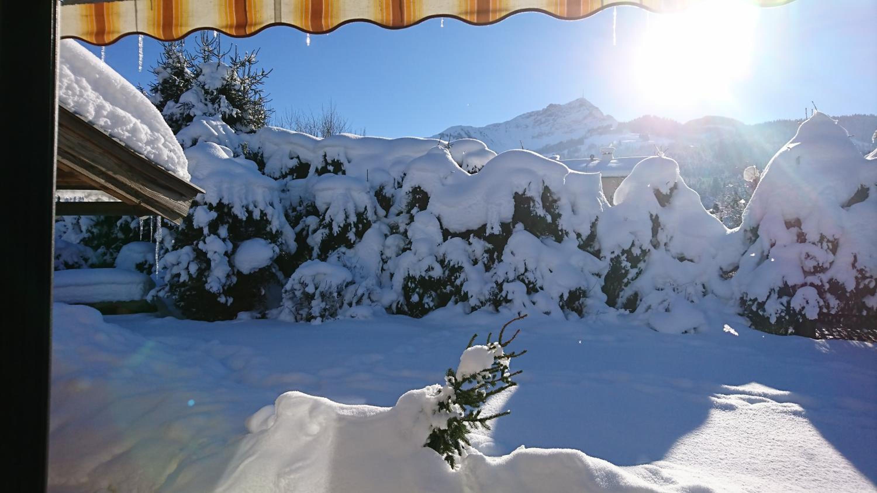 Exclusive Appartement Chalet