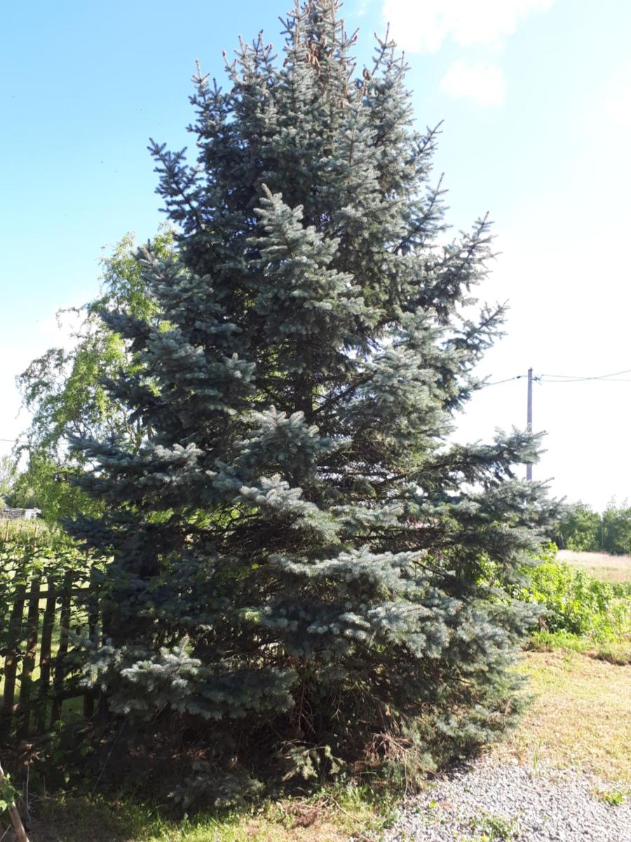 Photo 27