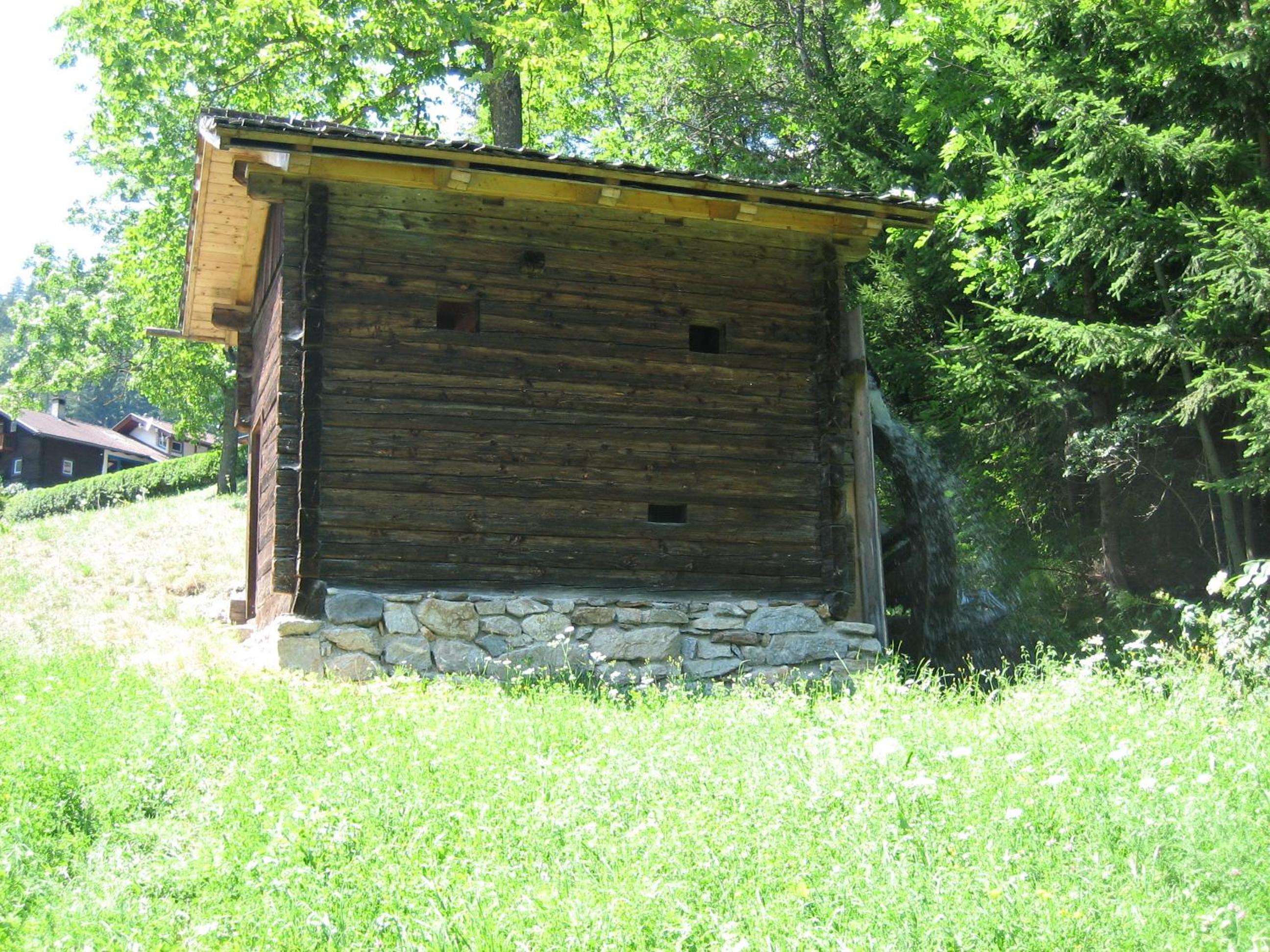 Photo 10