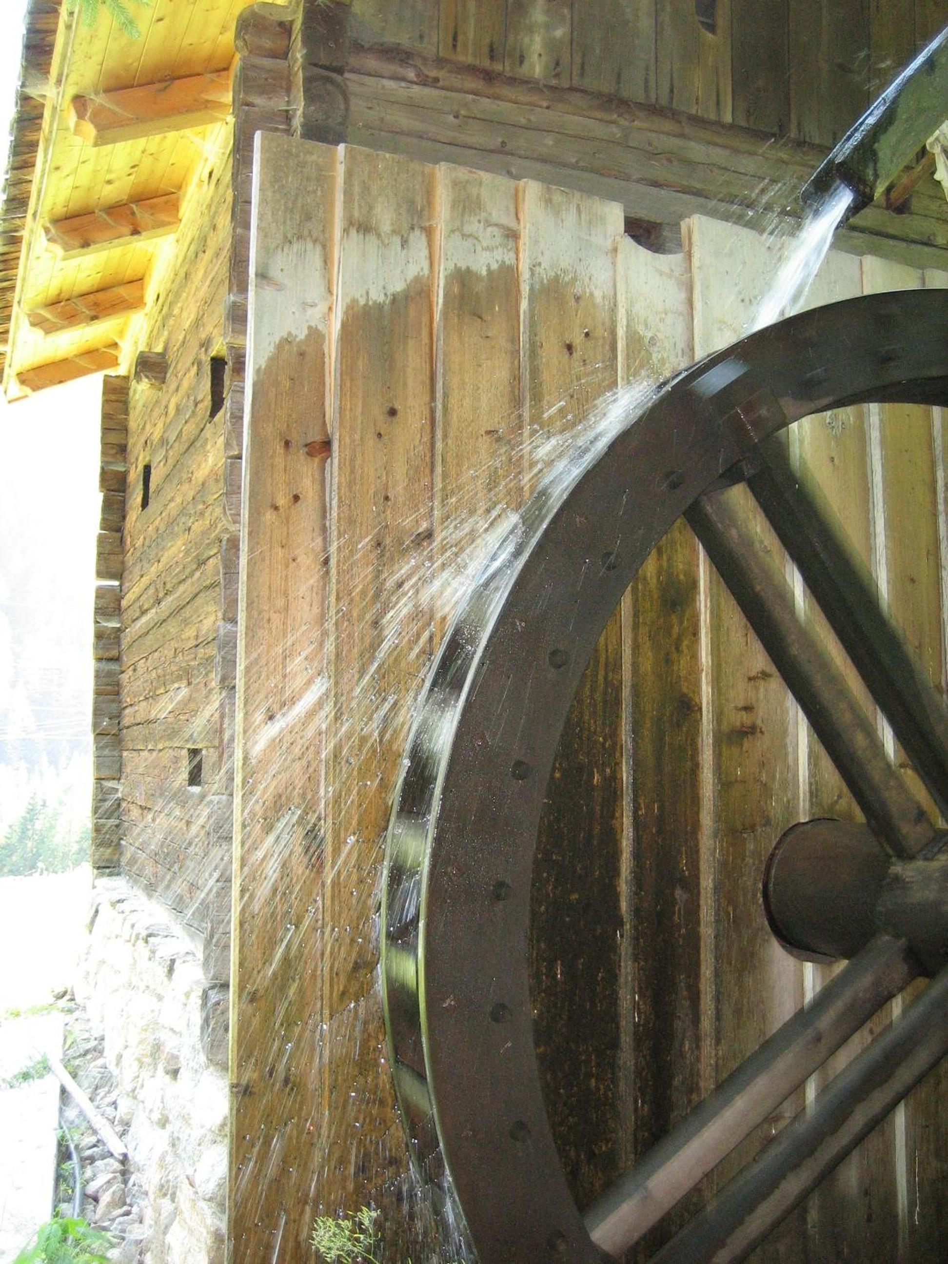 Photo 11