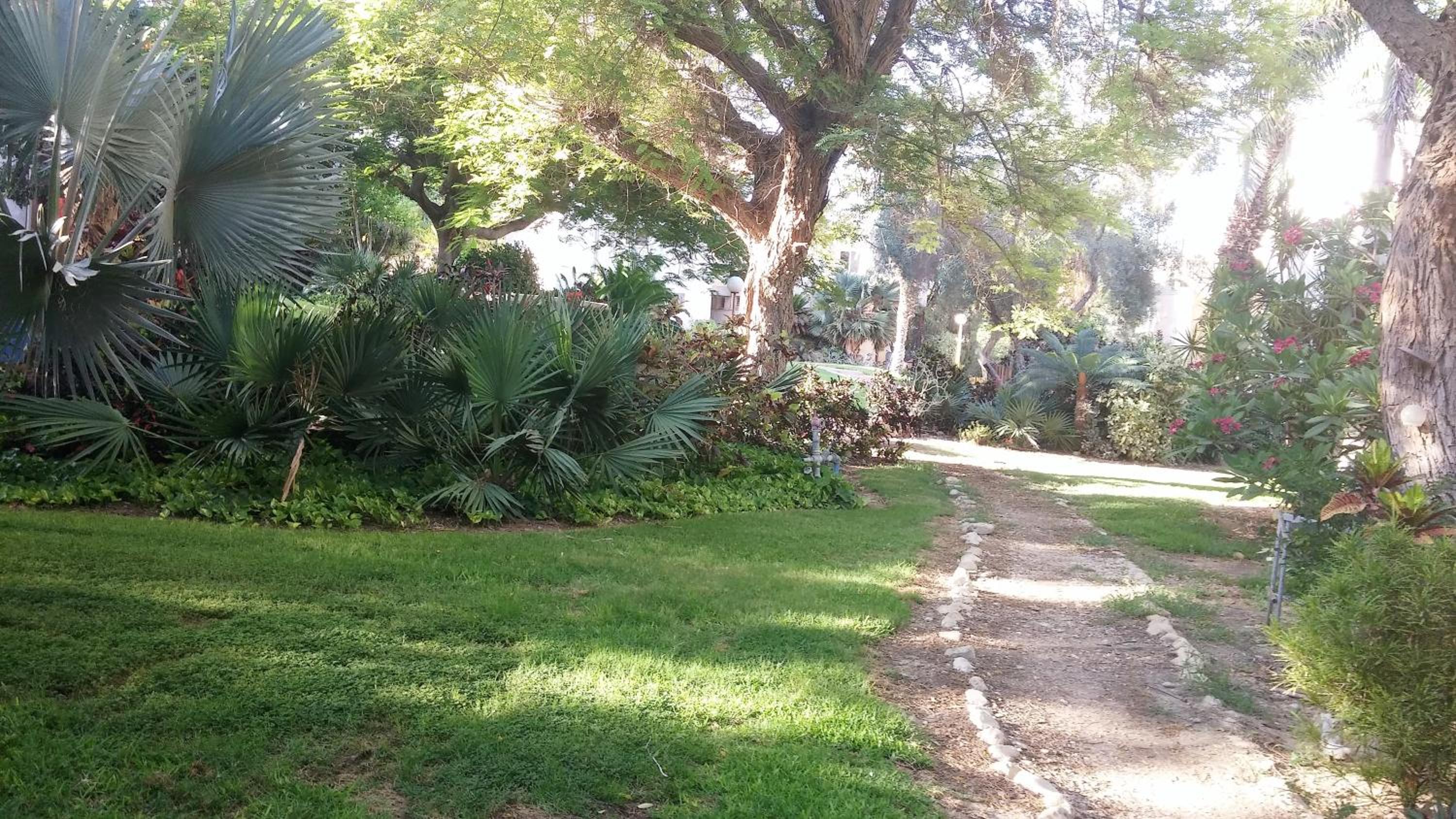 Ein Gedi Family Apartment view 3
