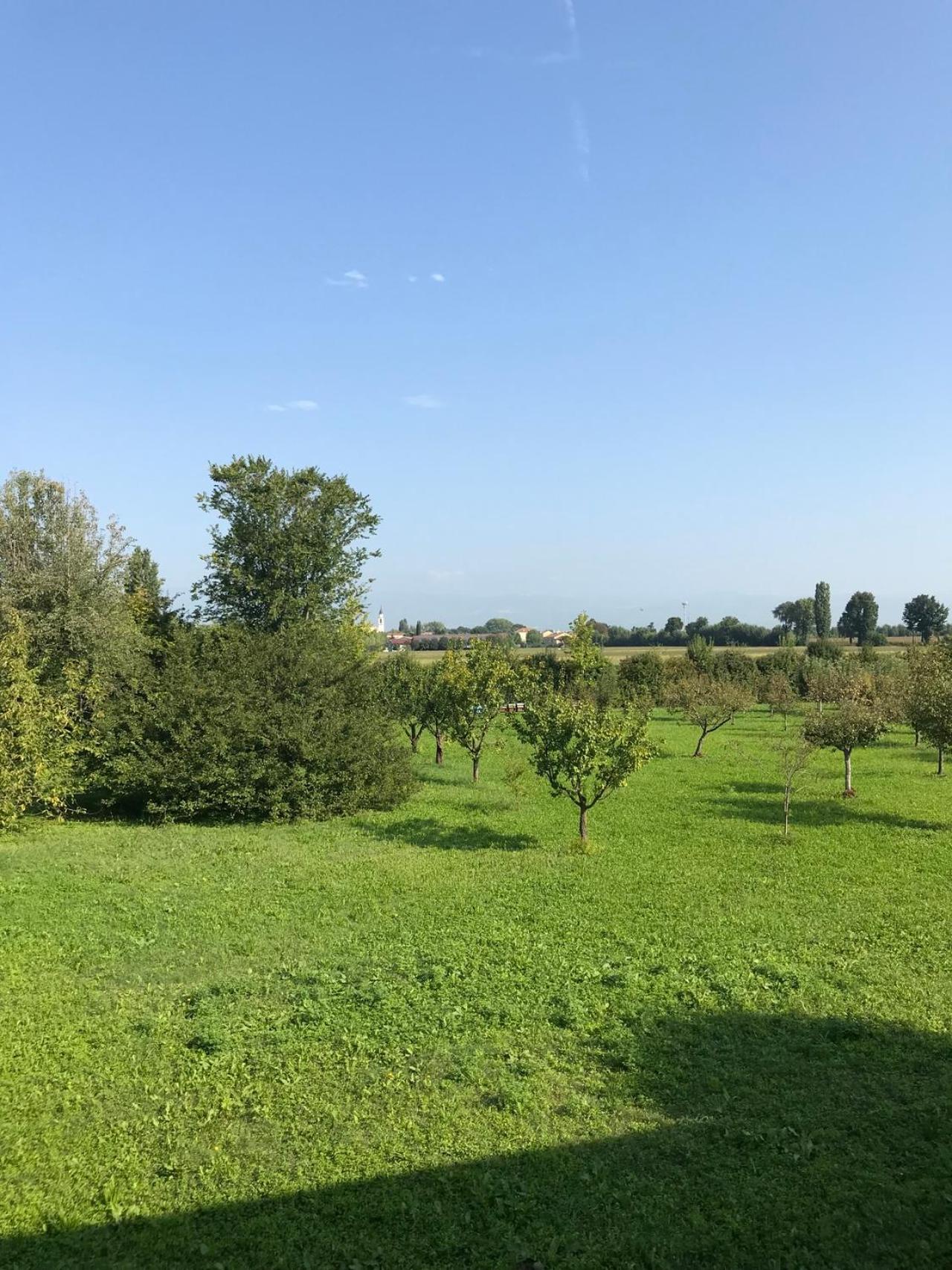 Albaspina BioAgriturismo view 4