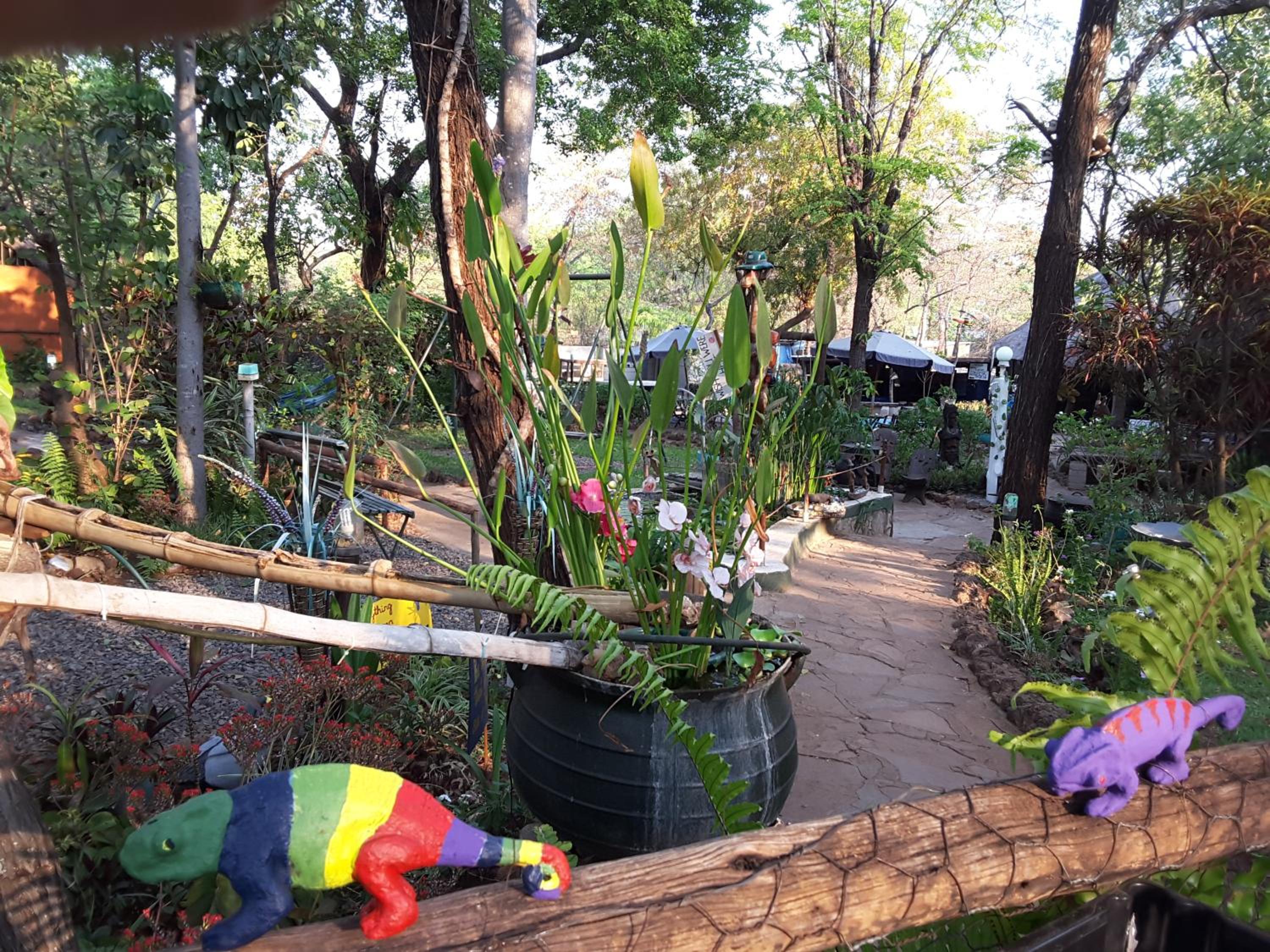 Victoria Falls Backpackers Lodge