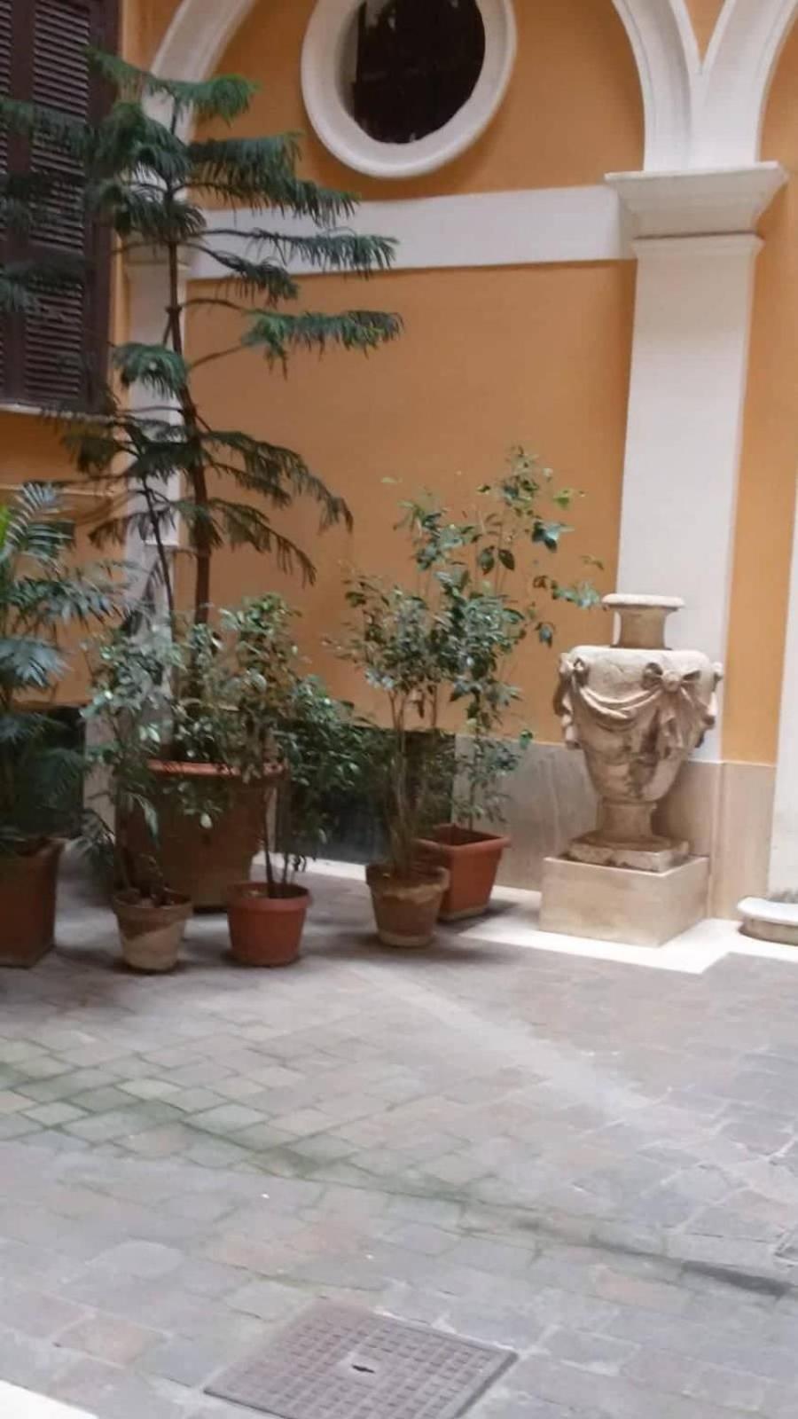 Garden's Elide