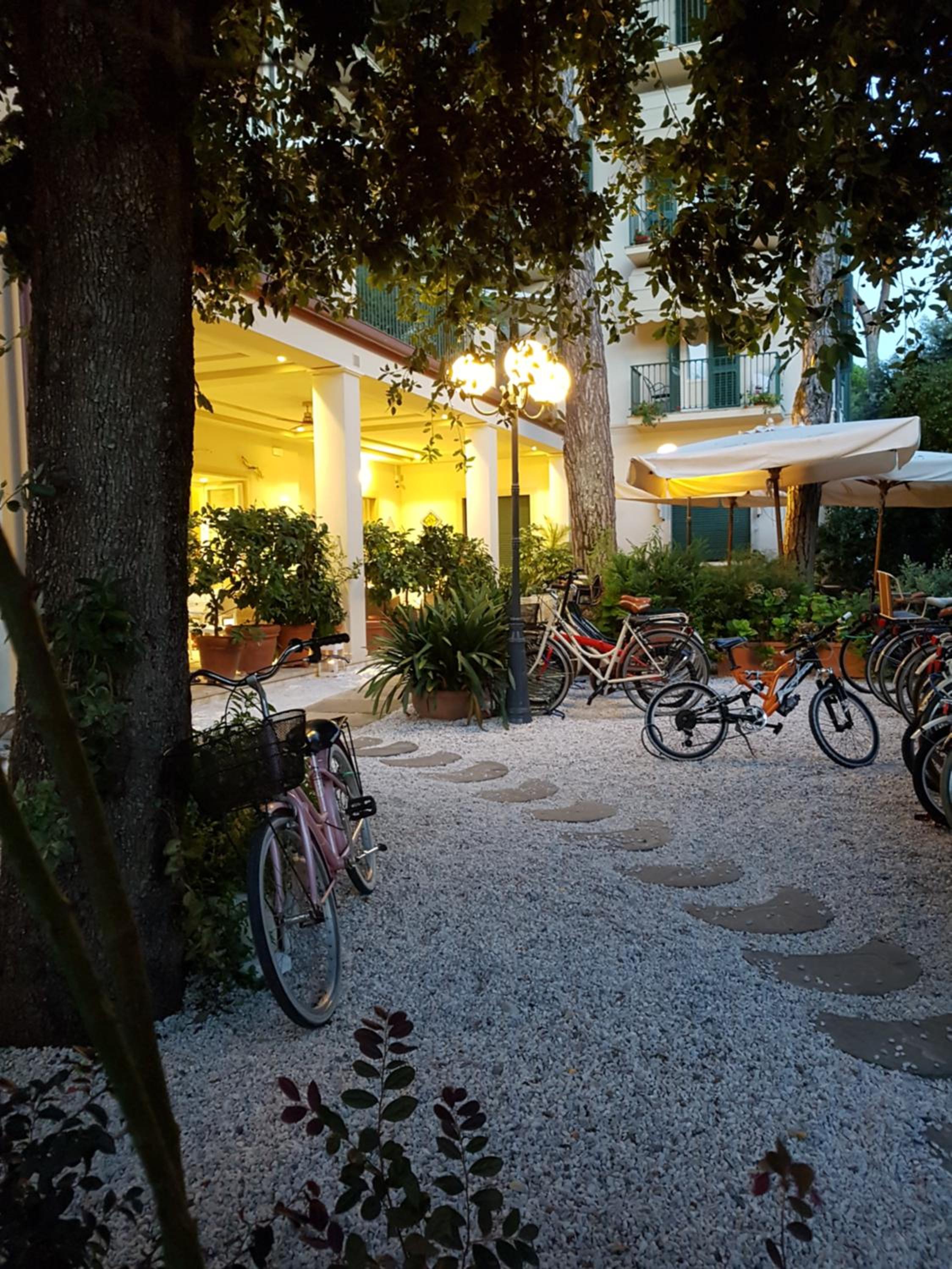 Hotel La Primula, photo 30