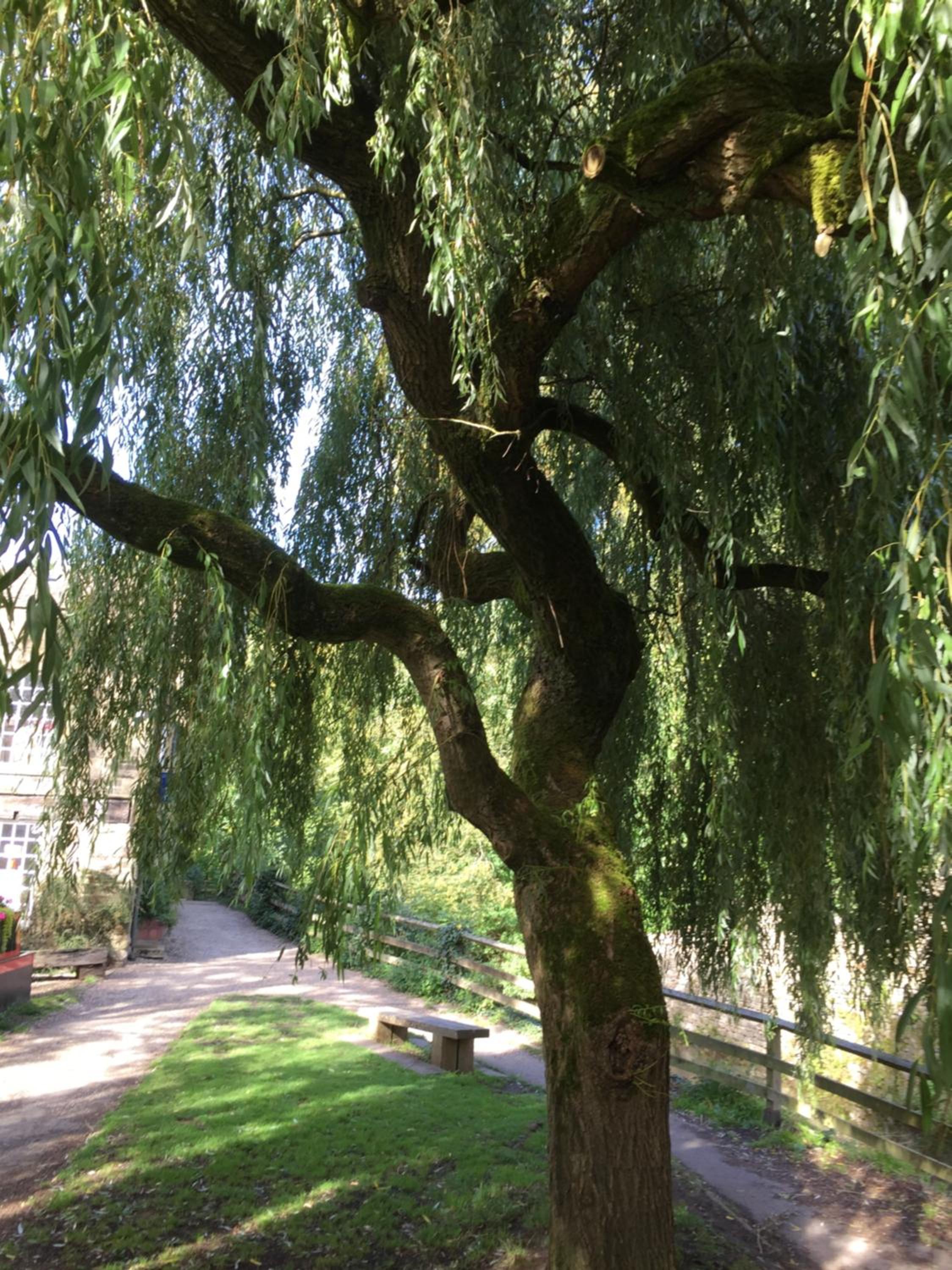Photo 27