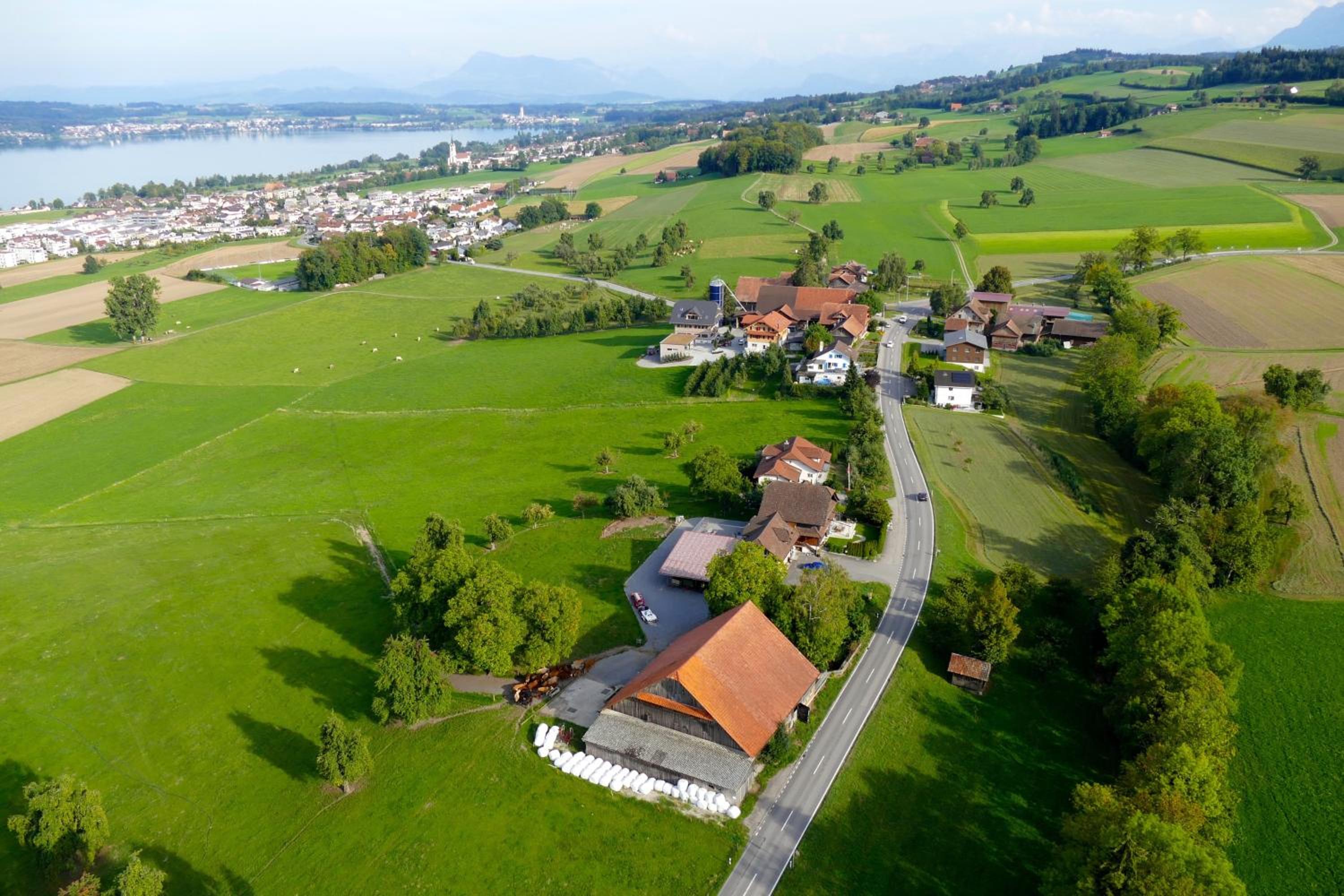 B&B Friedau