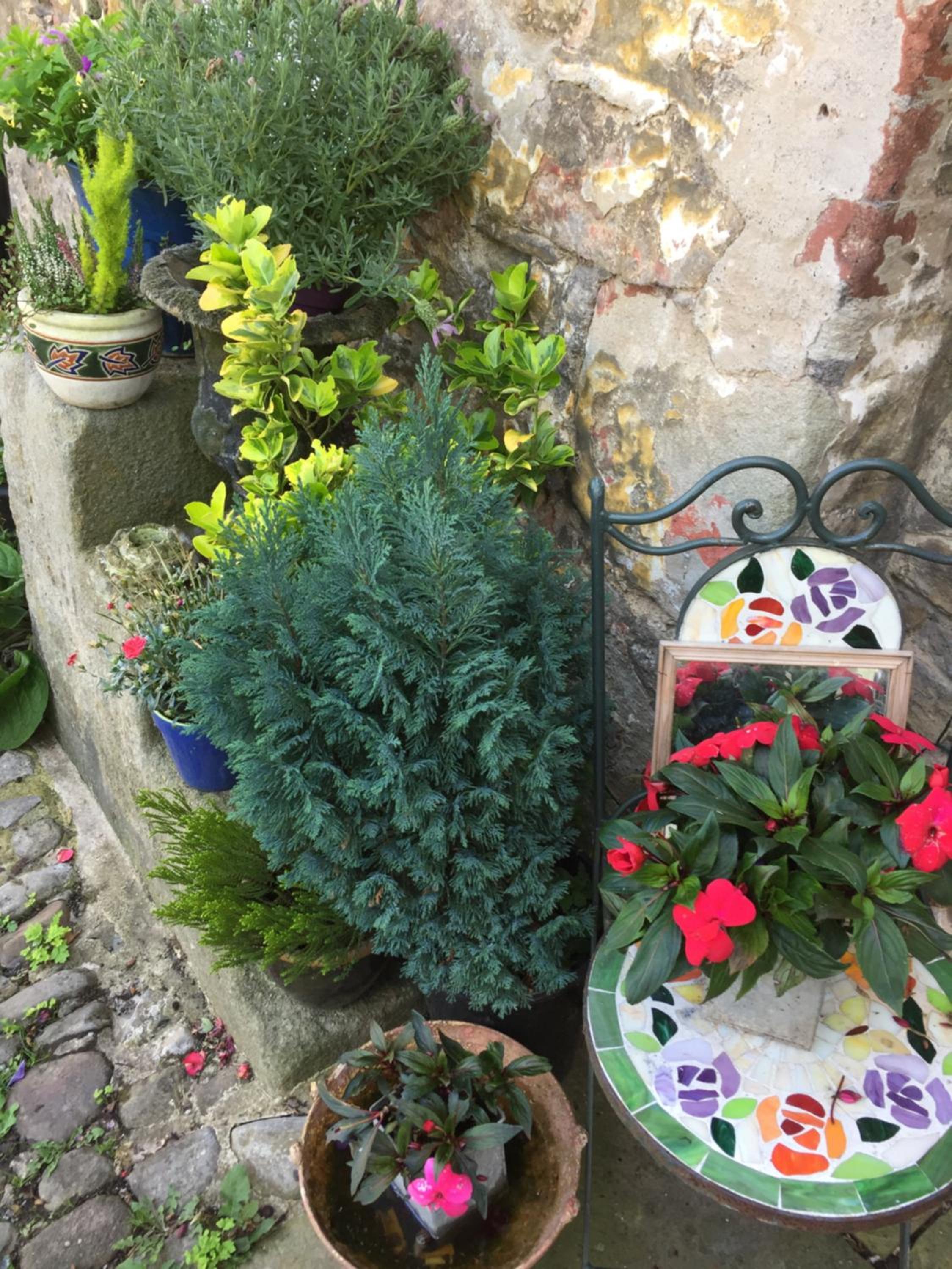 Photo 25