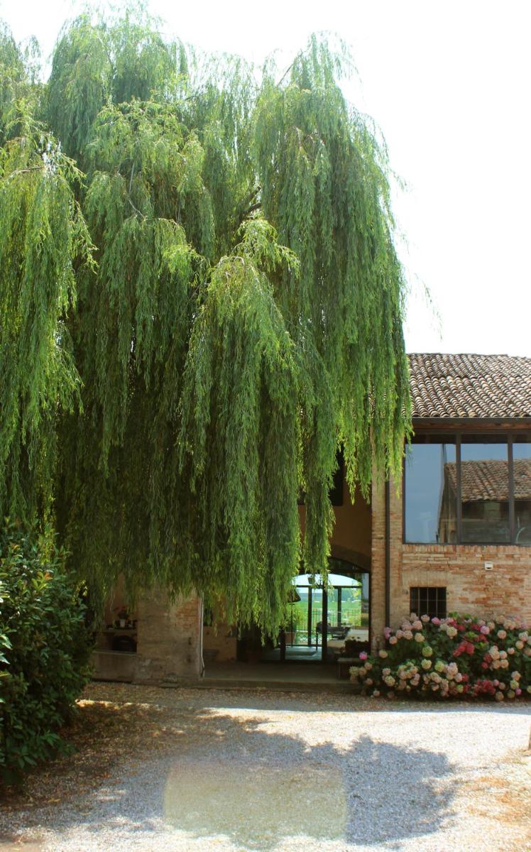 B&B Il Conte Giacomo