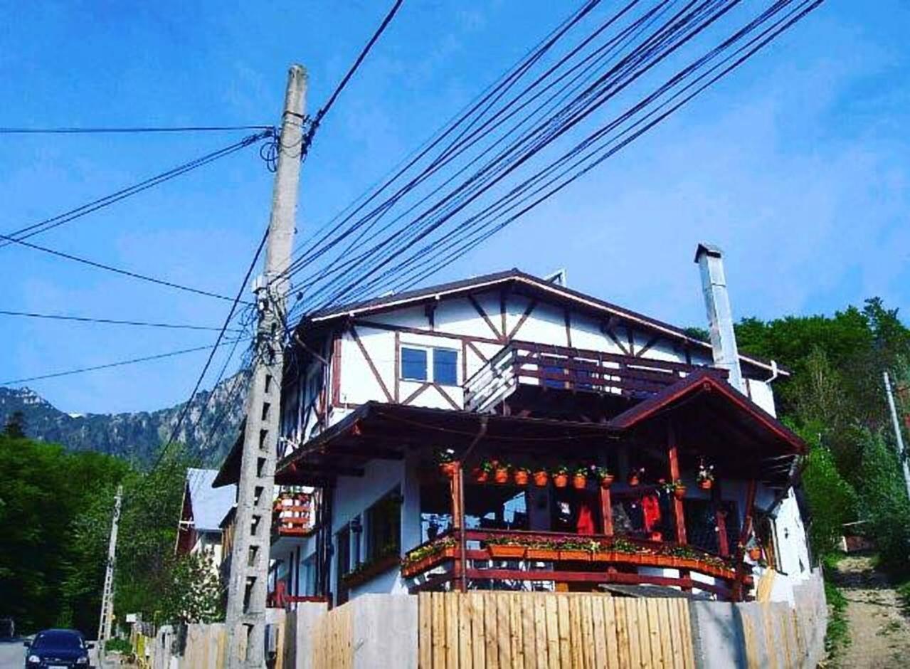 AmurguluiBnB 3-Bedroom Bucegi Mountains Retreat
