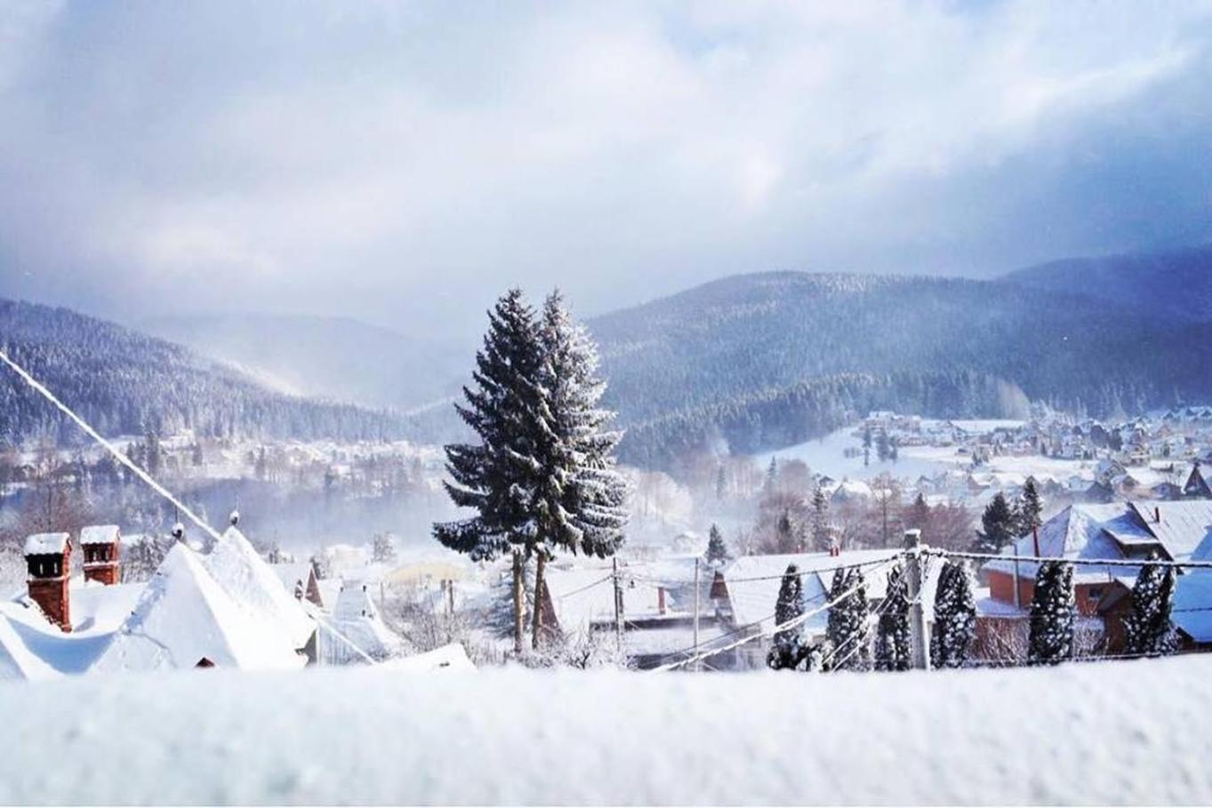AmurguluiBnB 3-Bedroom Bucegi Mountains Retreat