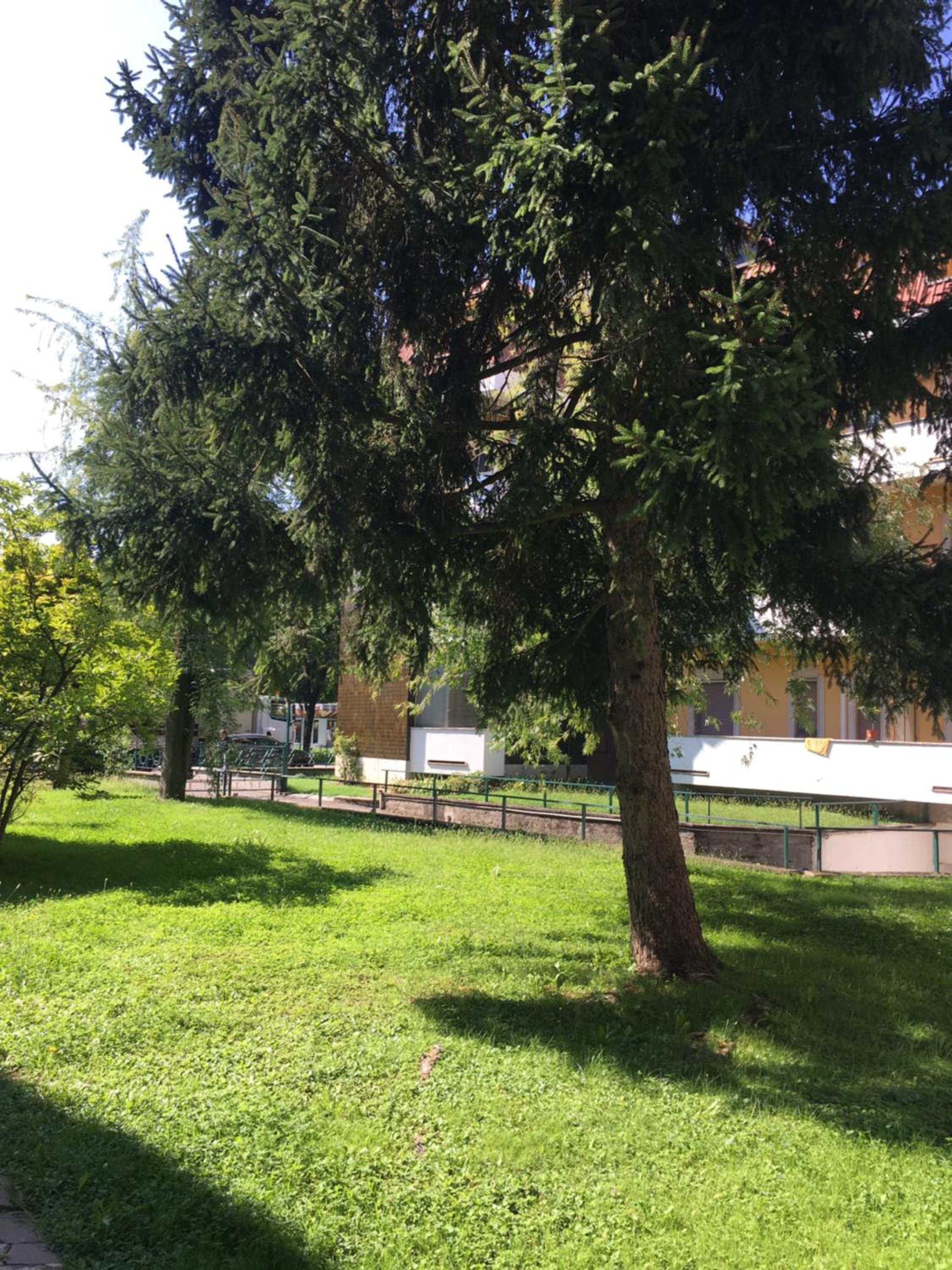 Il Contrabbasso view 4