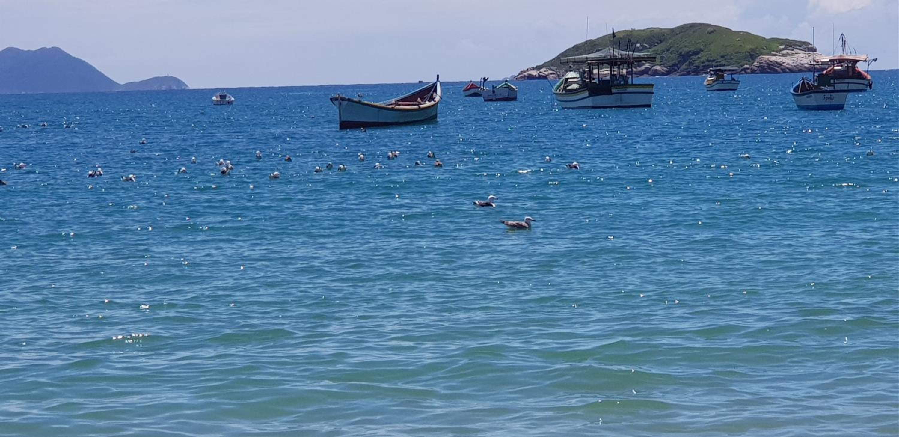 Apto de 02 qtos no Ingleses - Florianopolis - SC