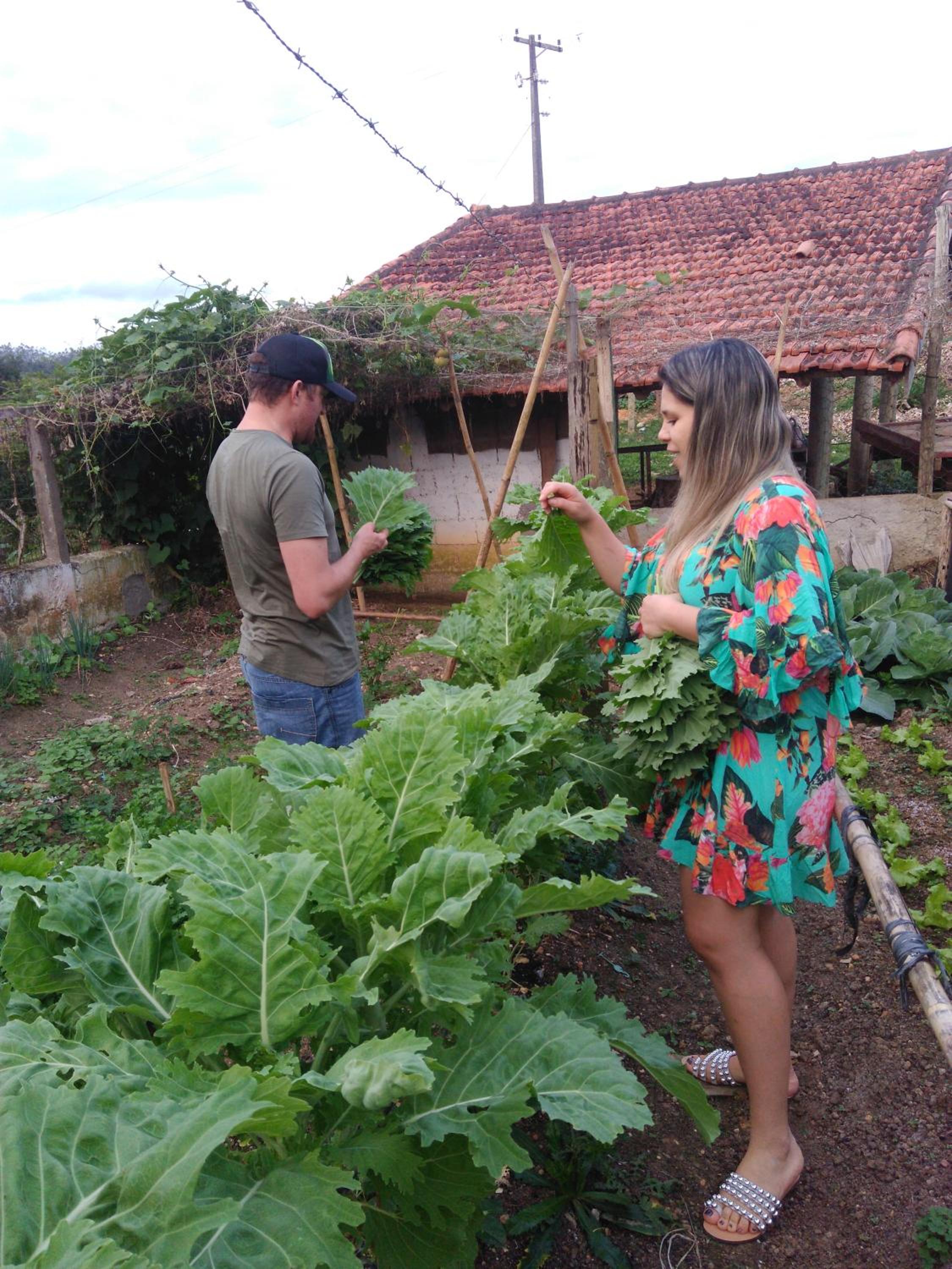 Pousada Rural Ouro Verde