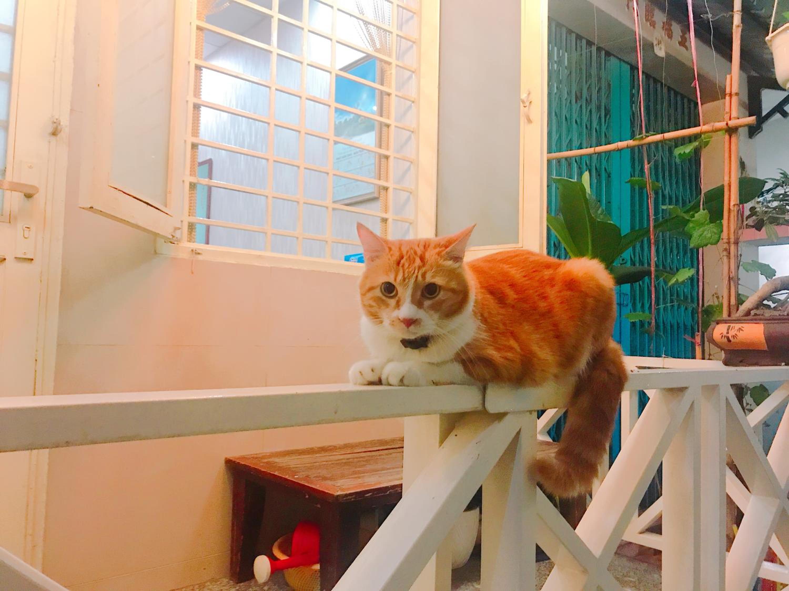 Qcub1 Homestay