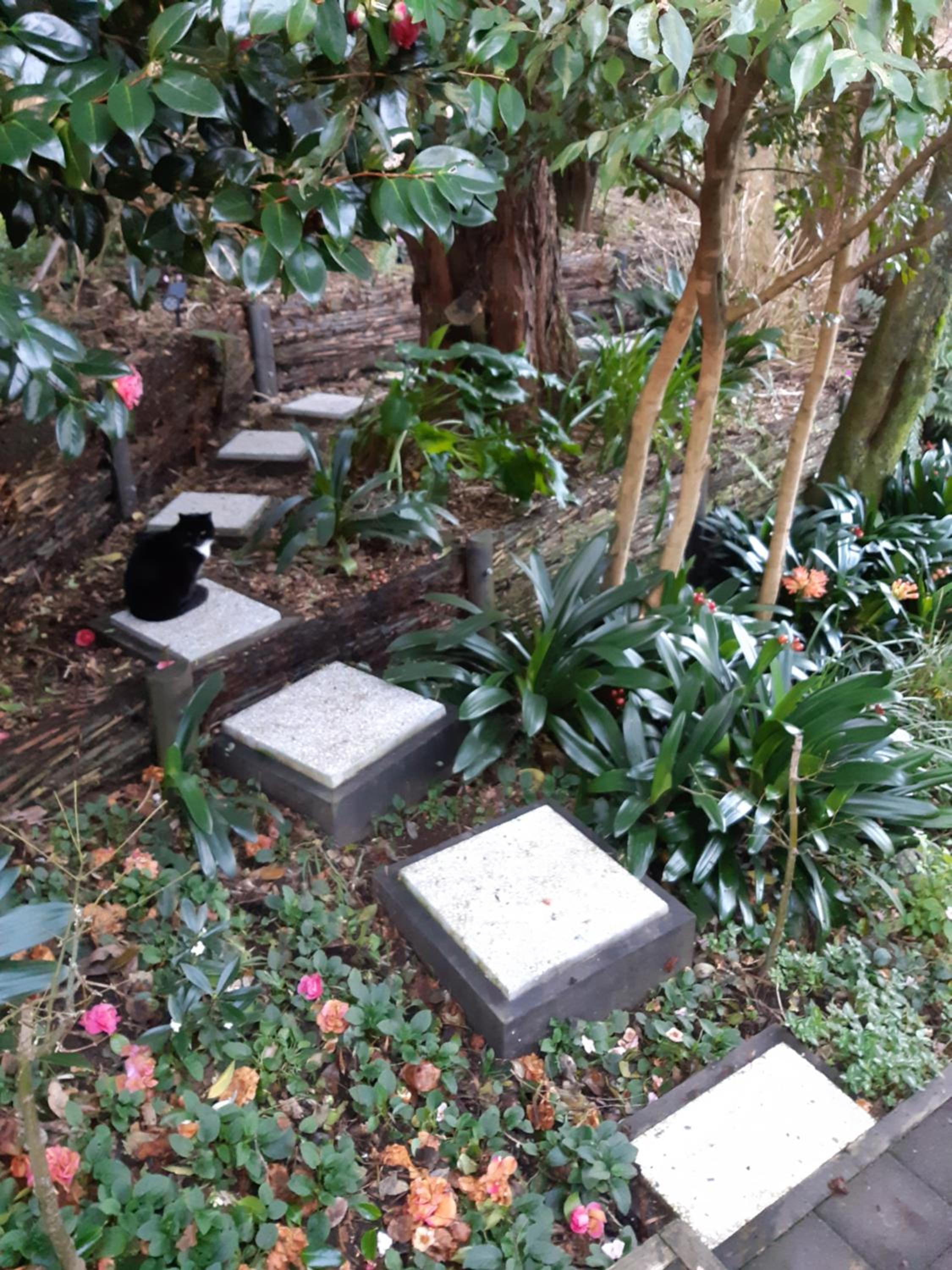 Photo 23