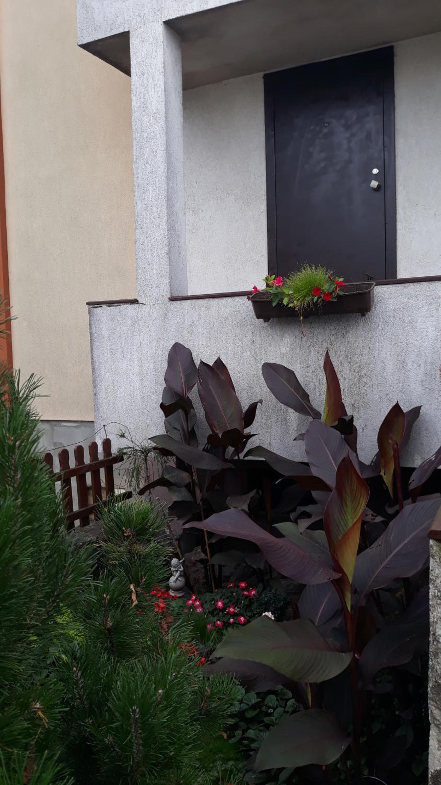Sauliaus apartamentai, photo 19