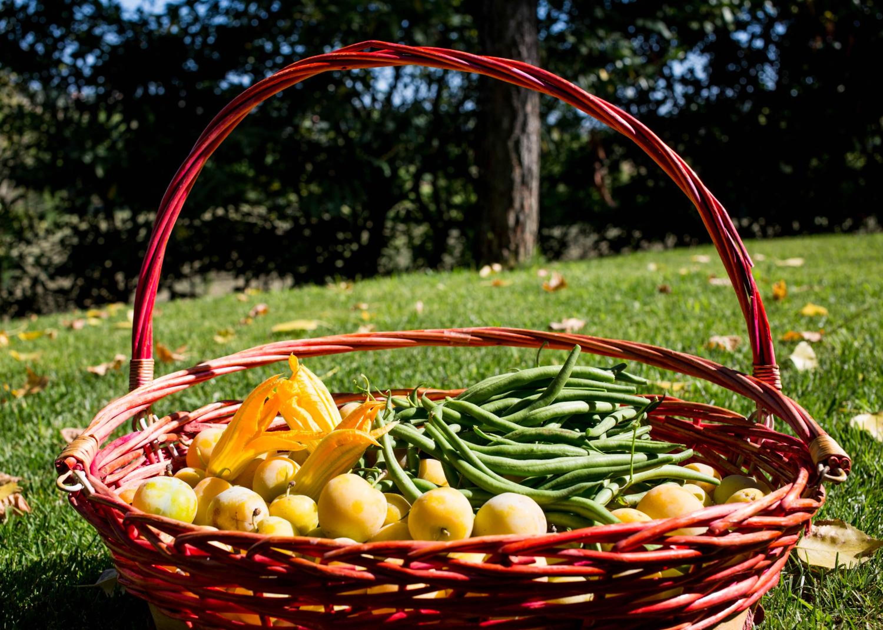 Grande villa storica per vacanze con giardino privato e piscina - Property Image 24