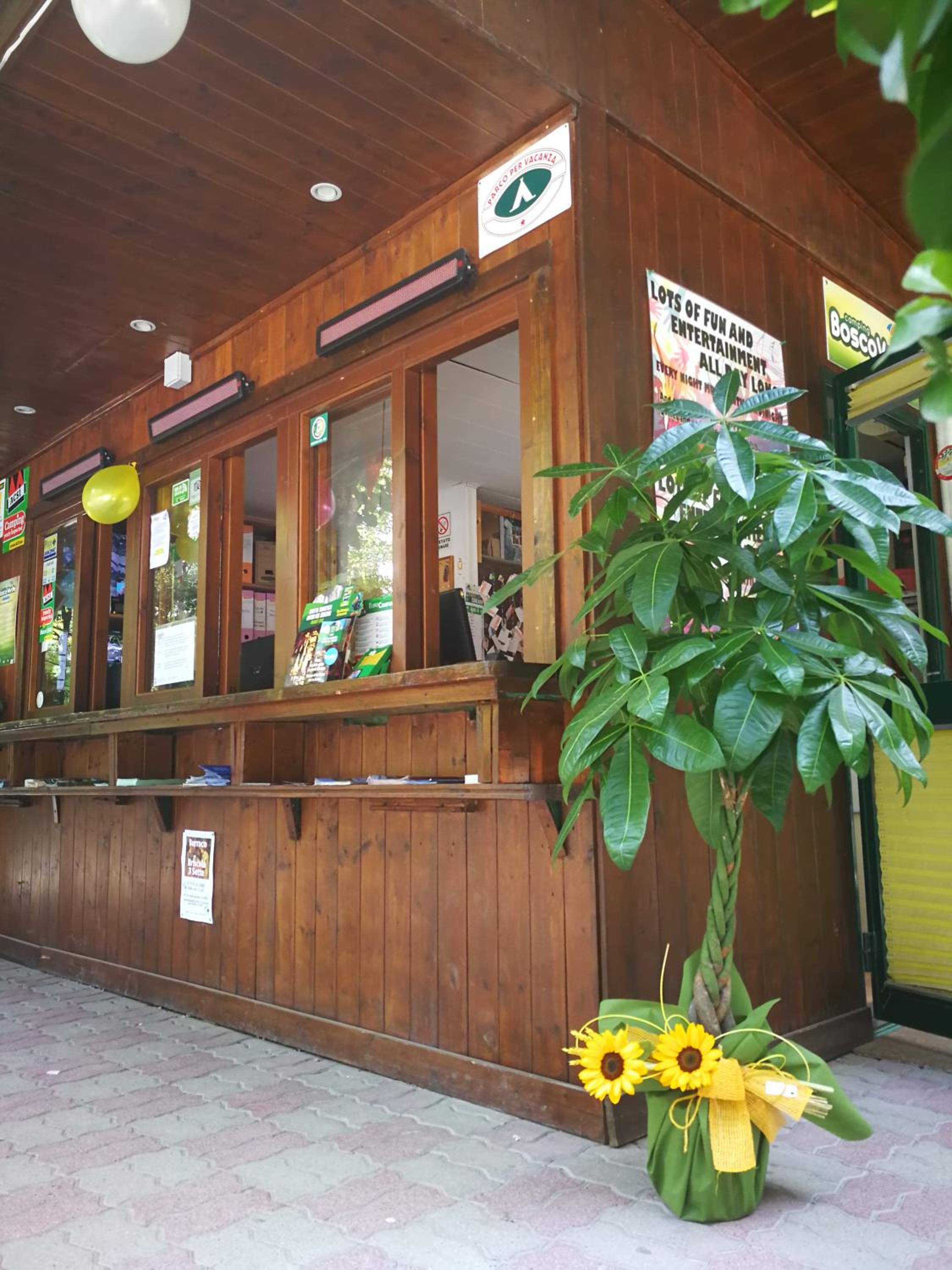 Campeggio Boscoverde, photo 111
