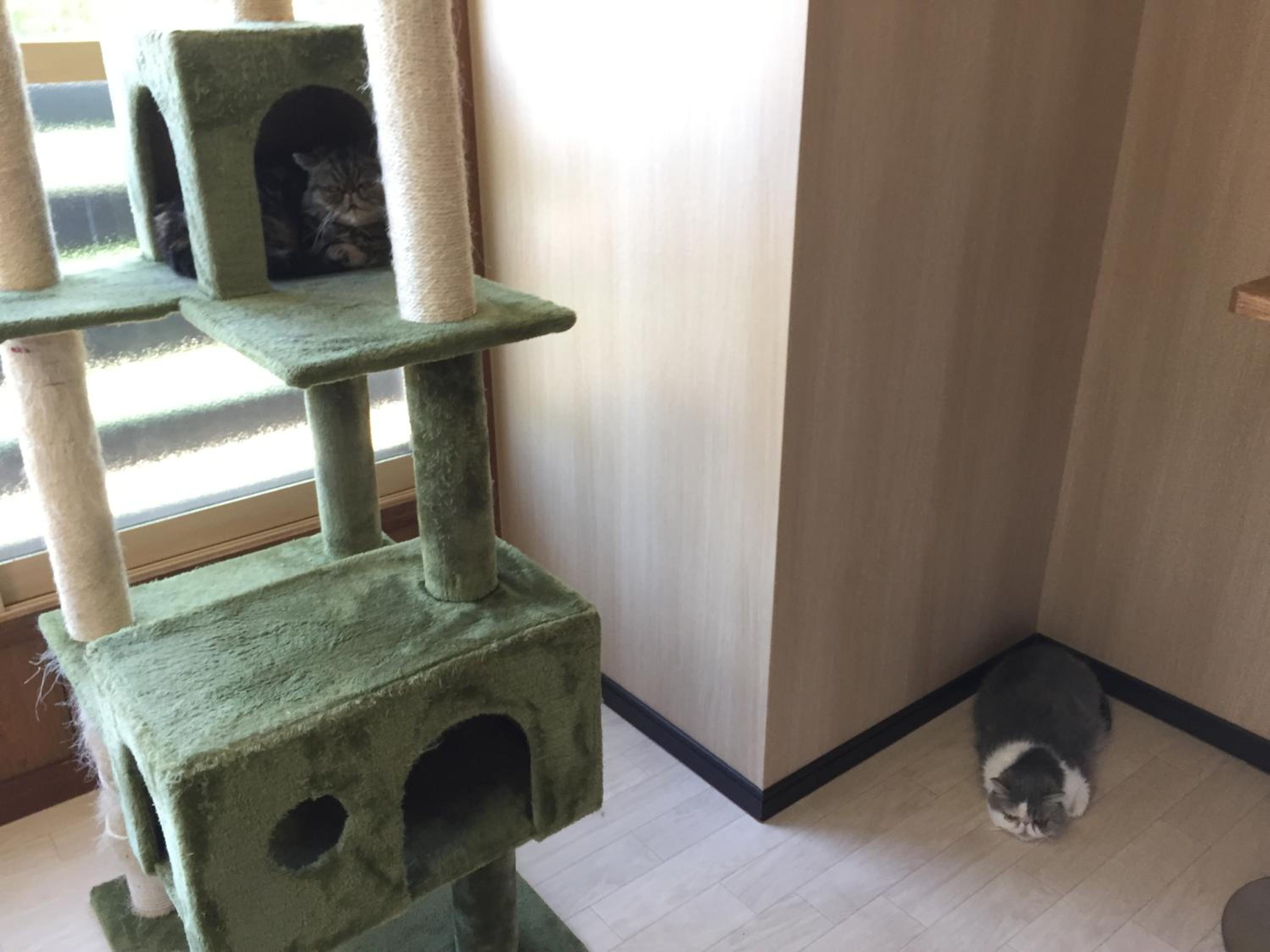 Photo 23