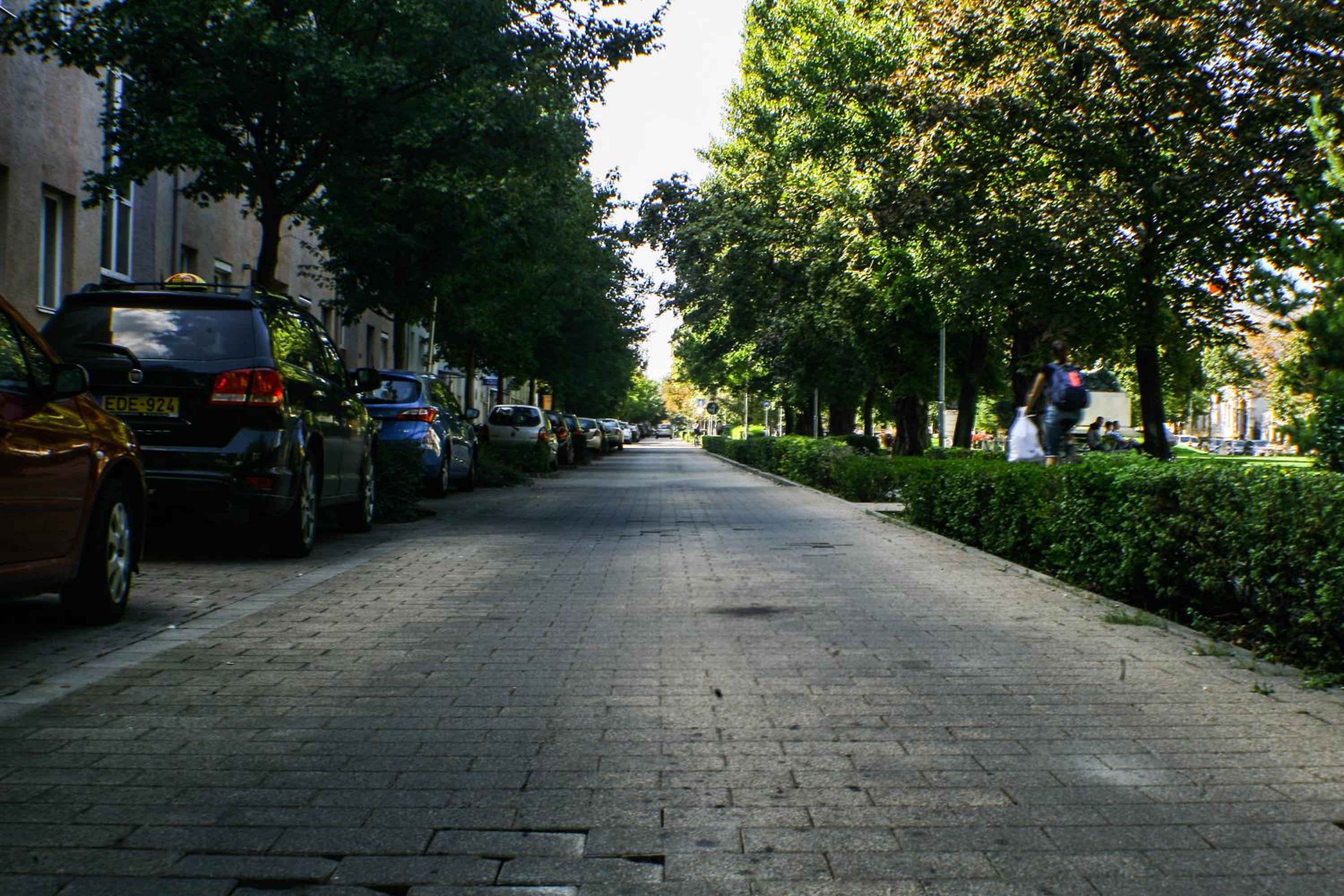 Photo 24