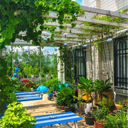 HaiAn Xian Homestay view 3