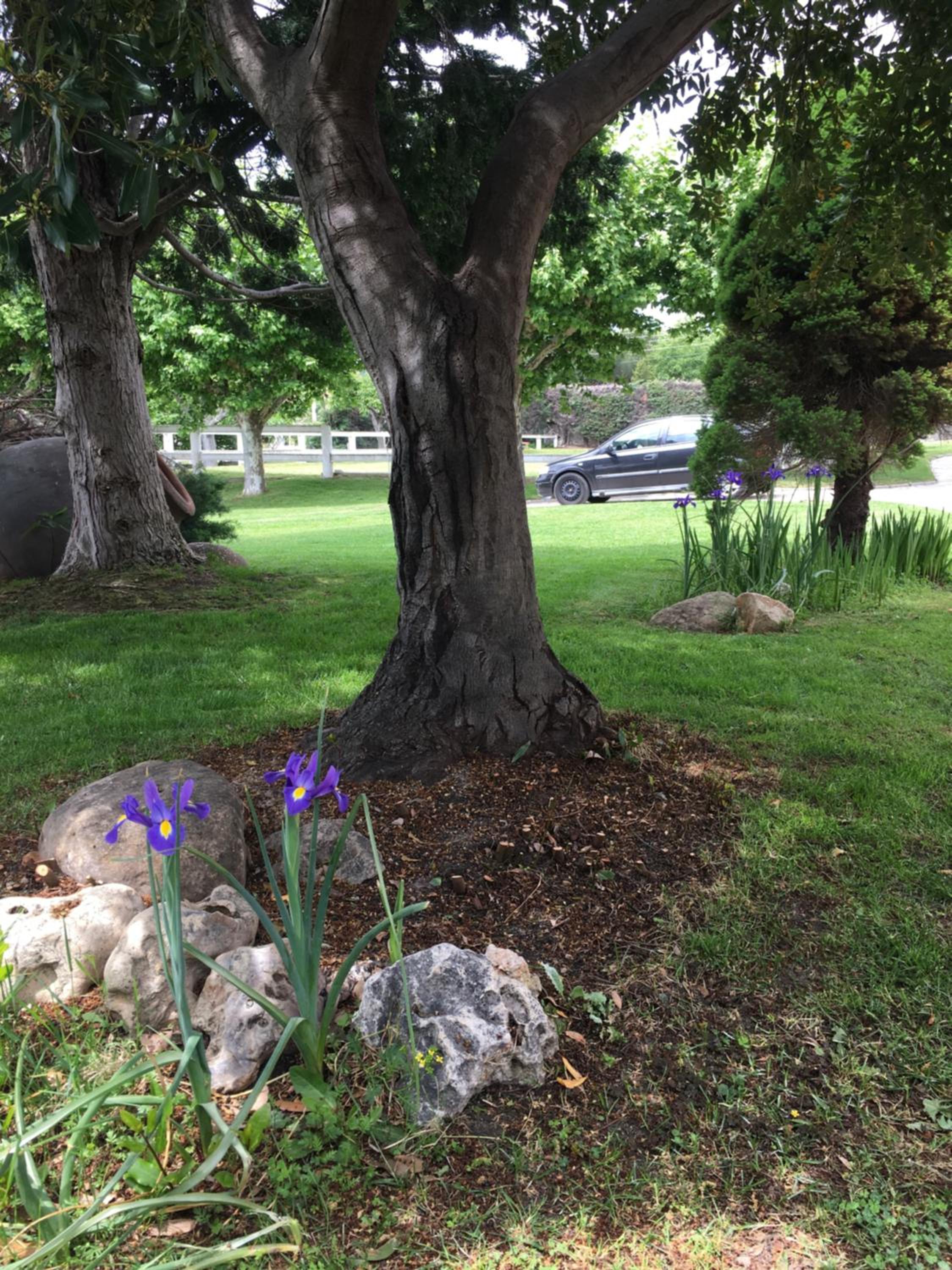 Photo 25