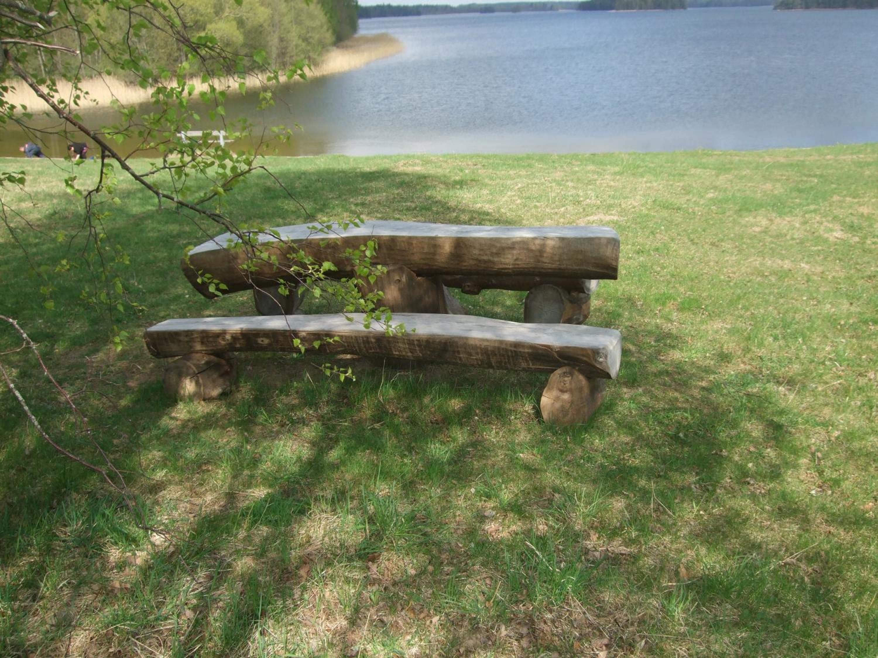Photo 19