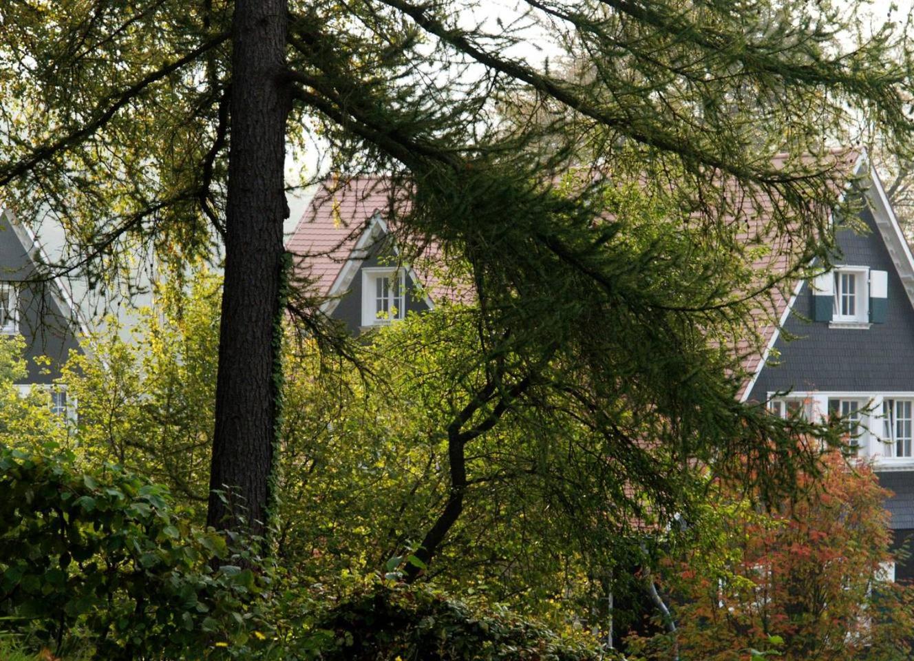 Wildbach Appartement