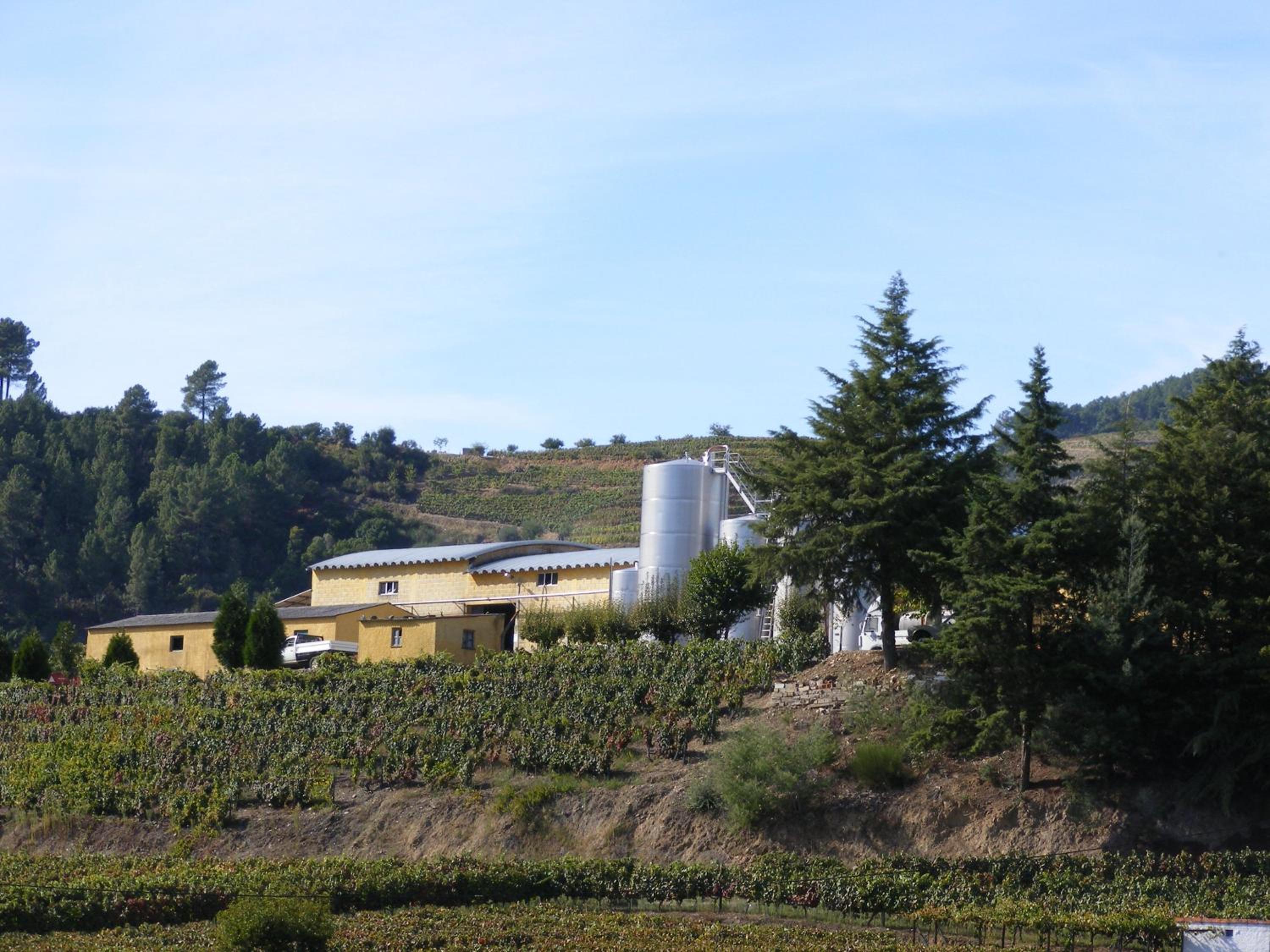 Solar Quinta da Portela - Douro