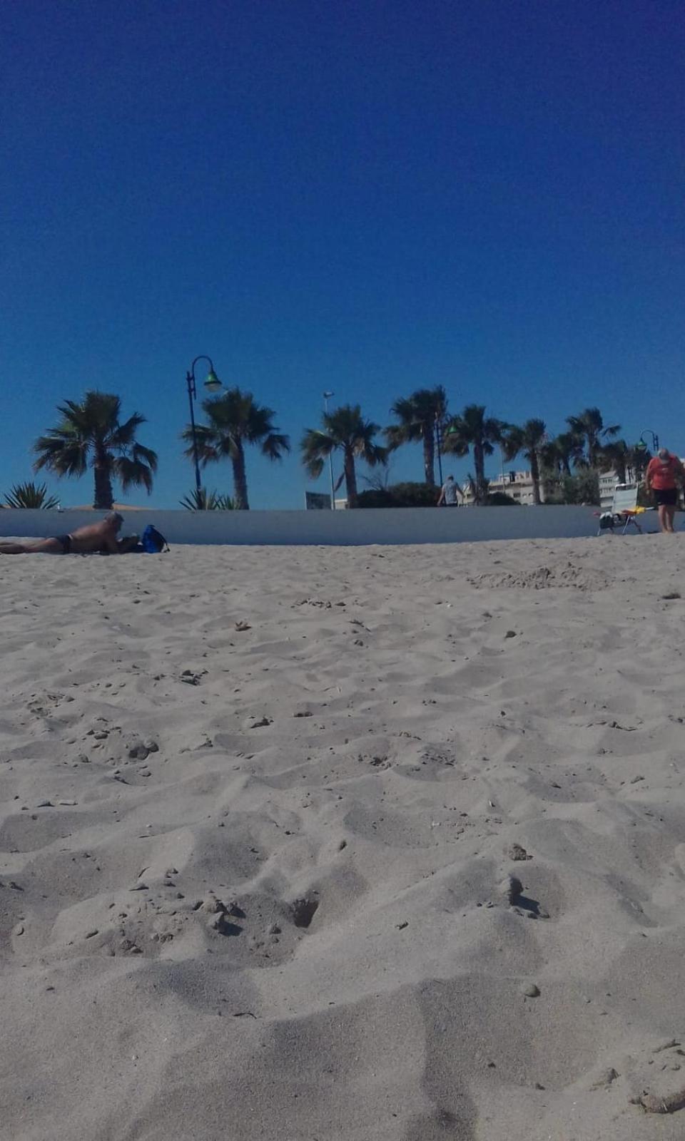 Photo 43