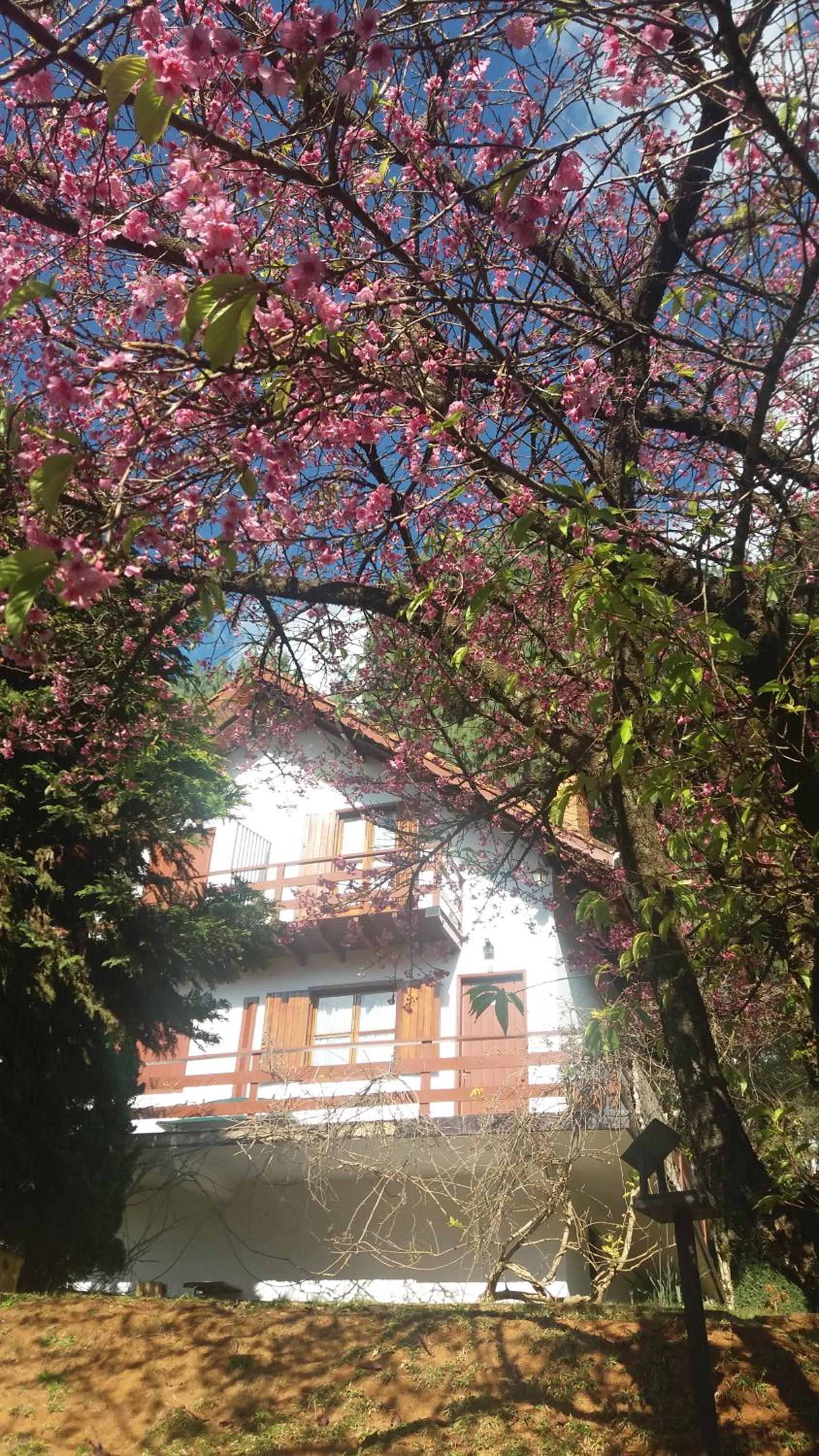 Chalés Lauterbrunnen