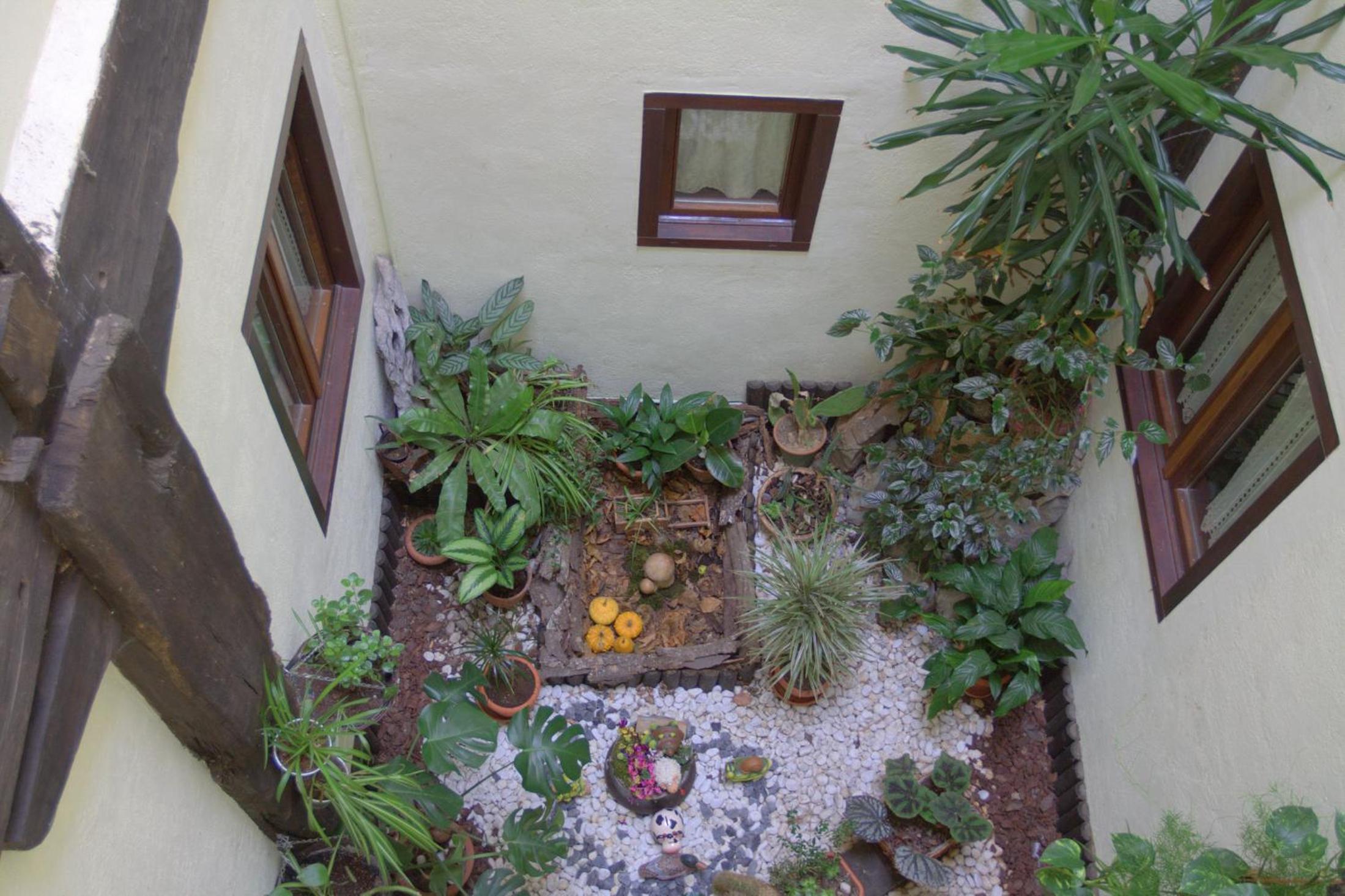 Photo 37