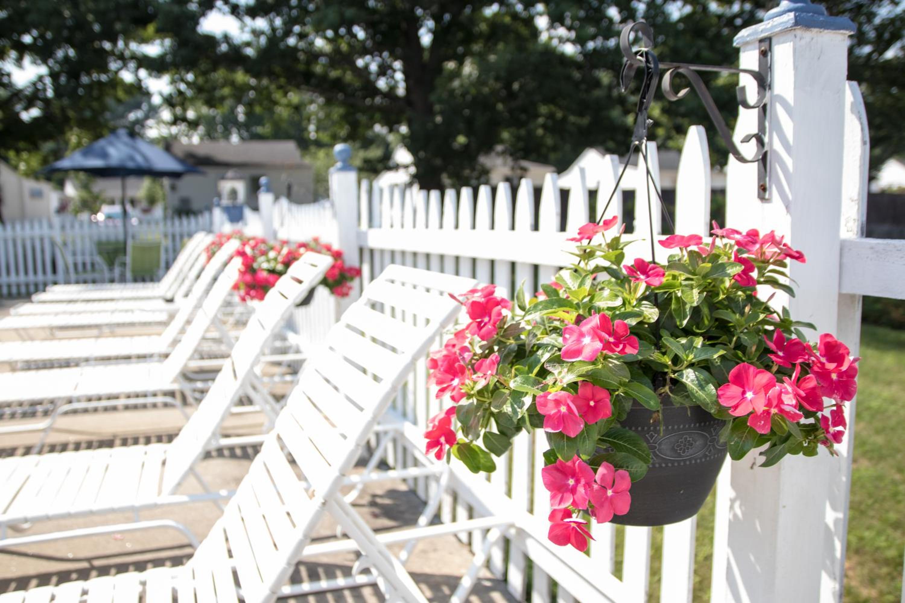 Seacoast Motel - Property Image 23