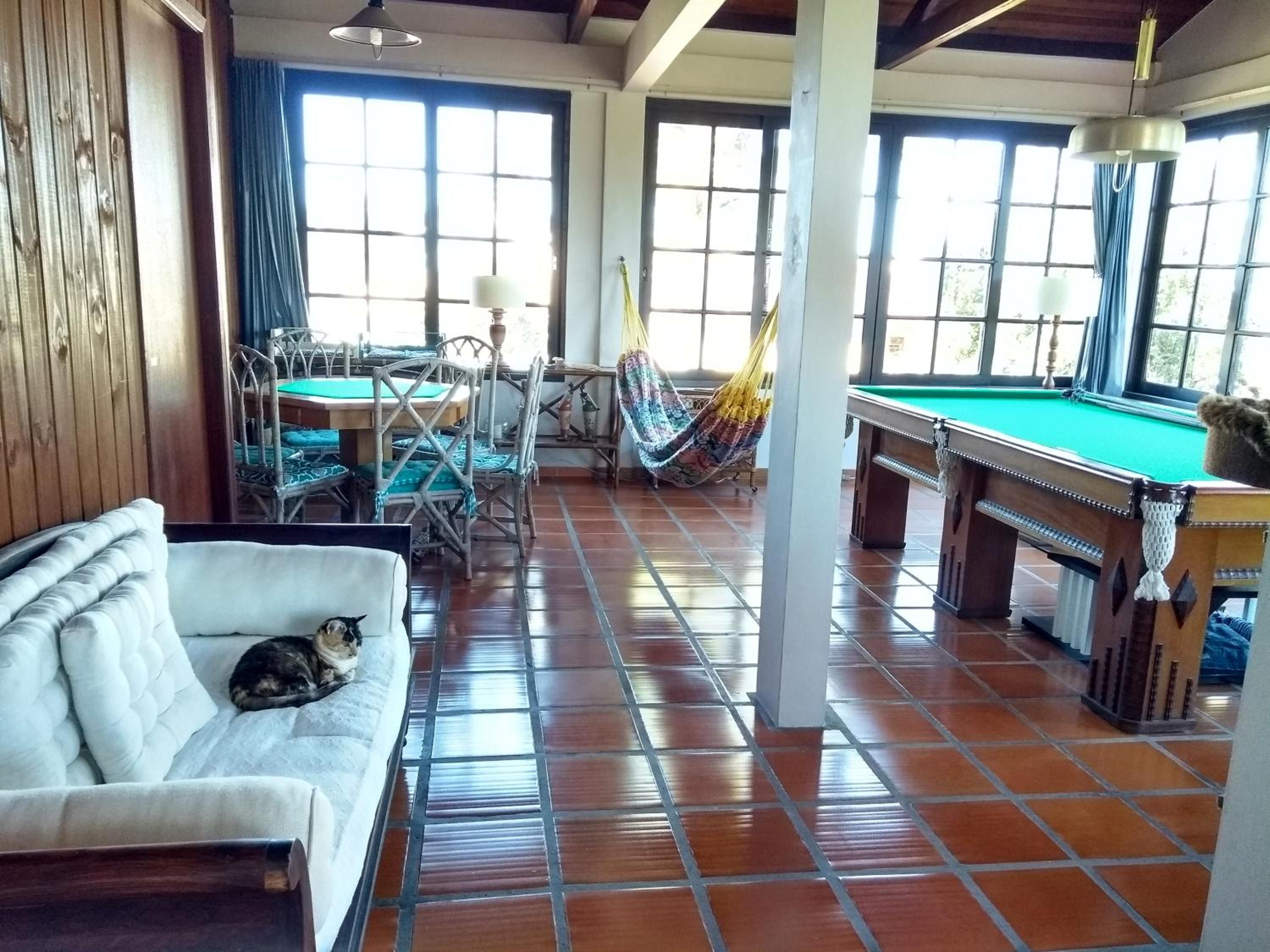 The Cats' House