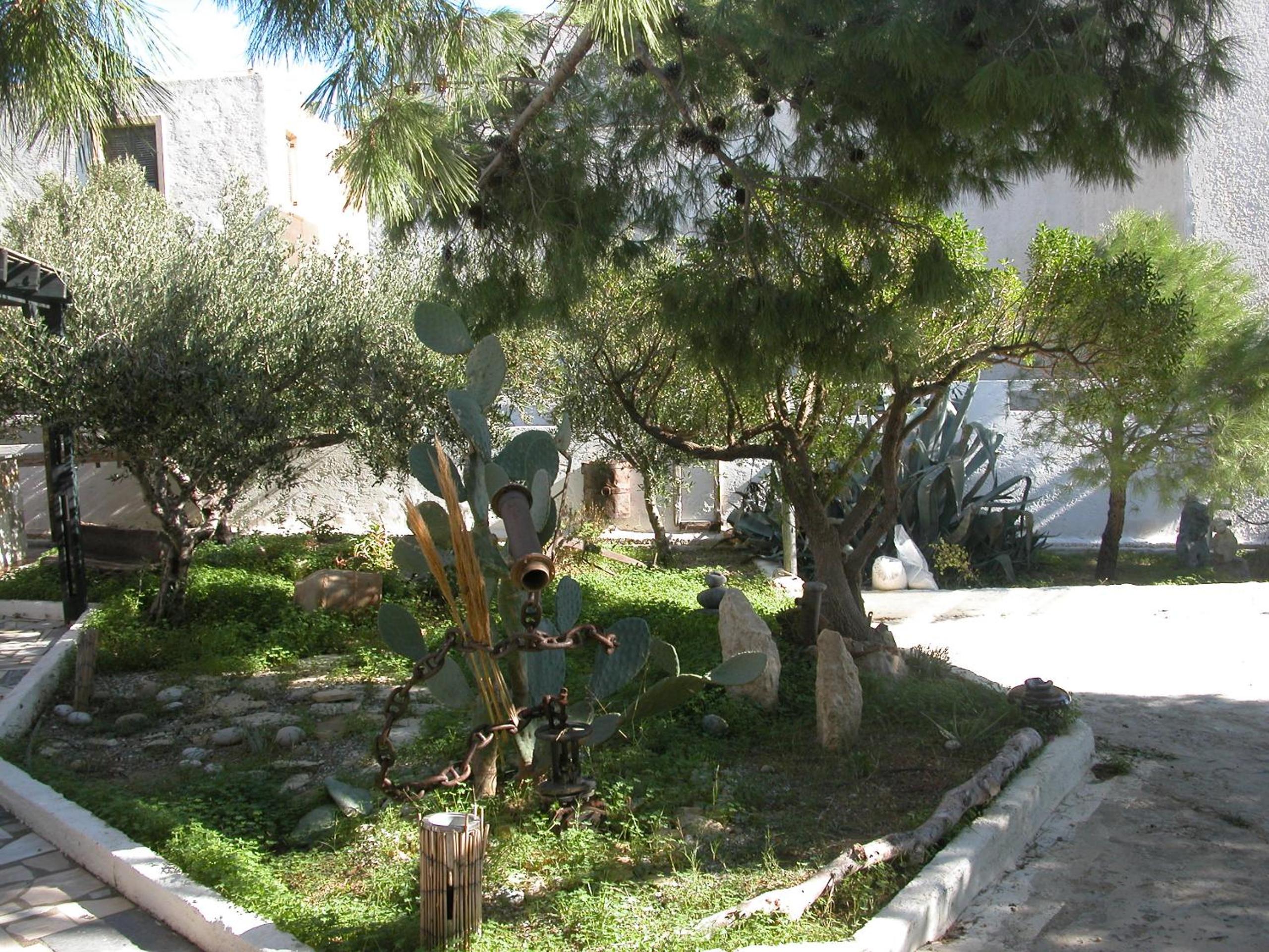 Photo 11